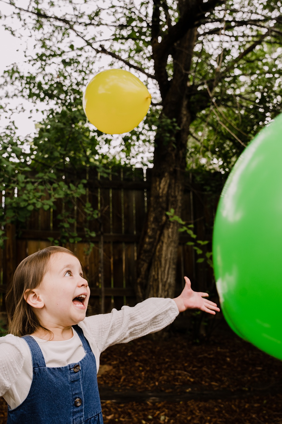 San Francisco Family Photographer Sunnyvale Family Photographer,home