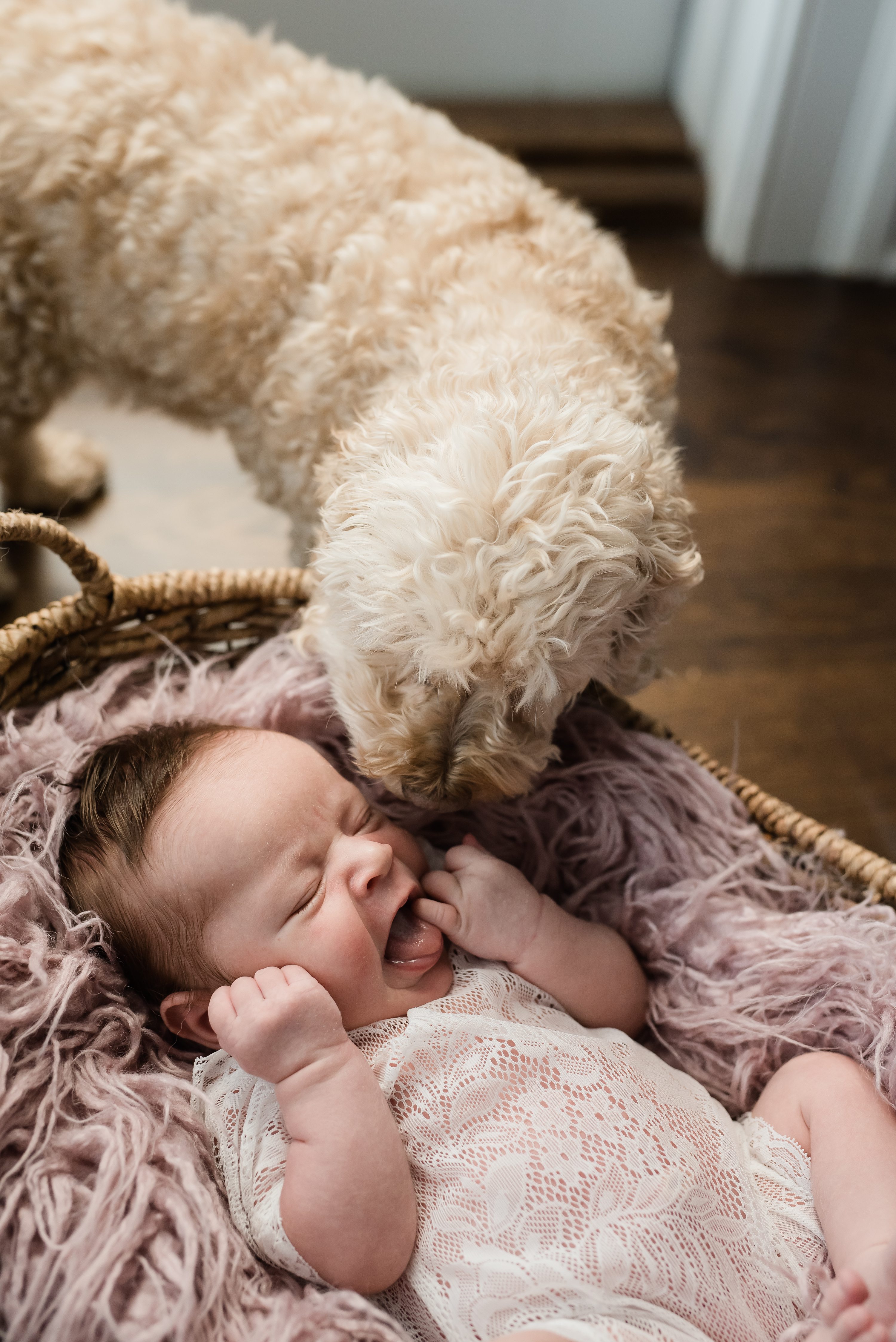 Chicago Newborn Lifestyle Photography,LGBTQ,LGBTQ+,Lifestyle Photos