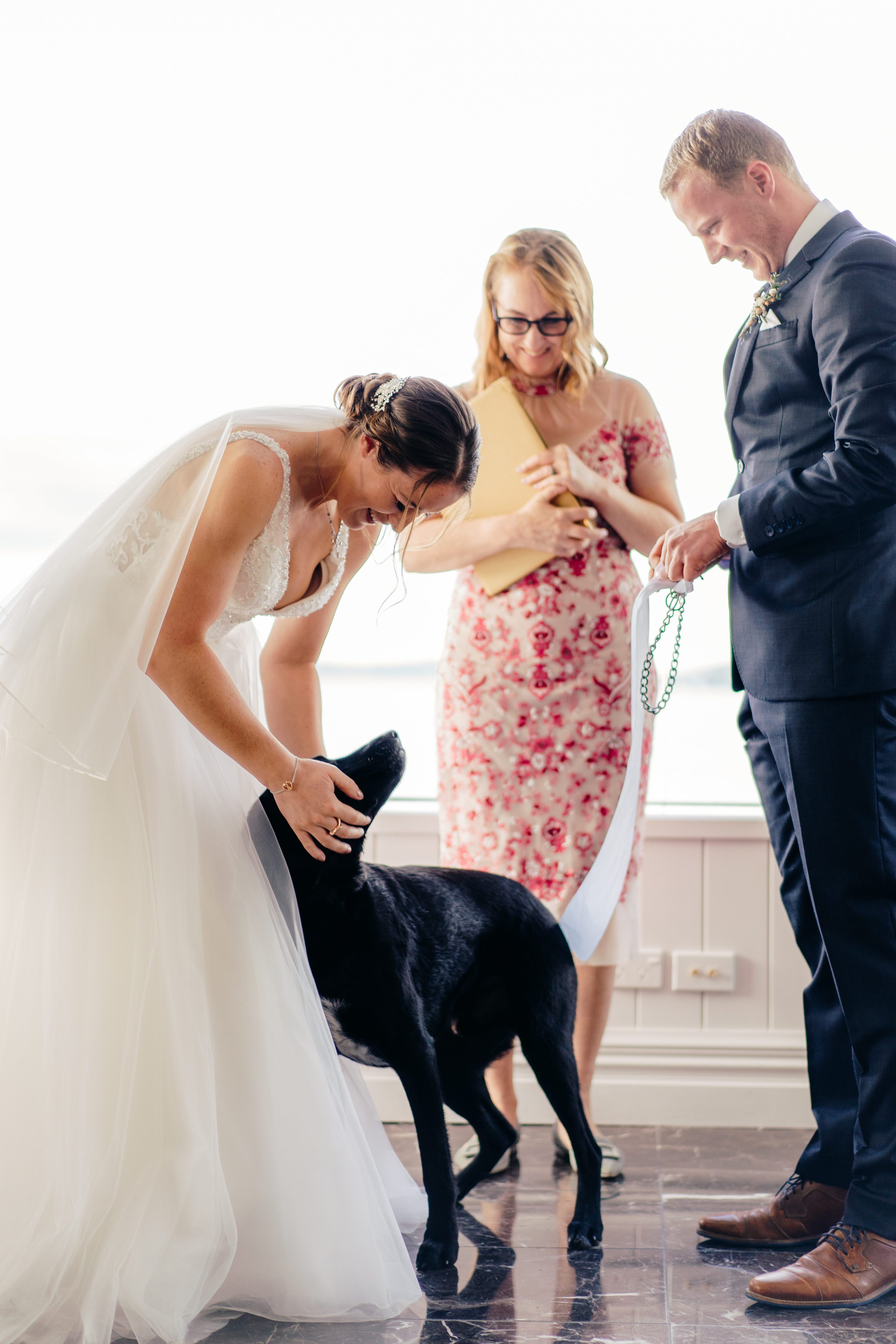 Dogs Ring Bearer