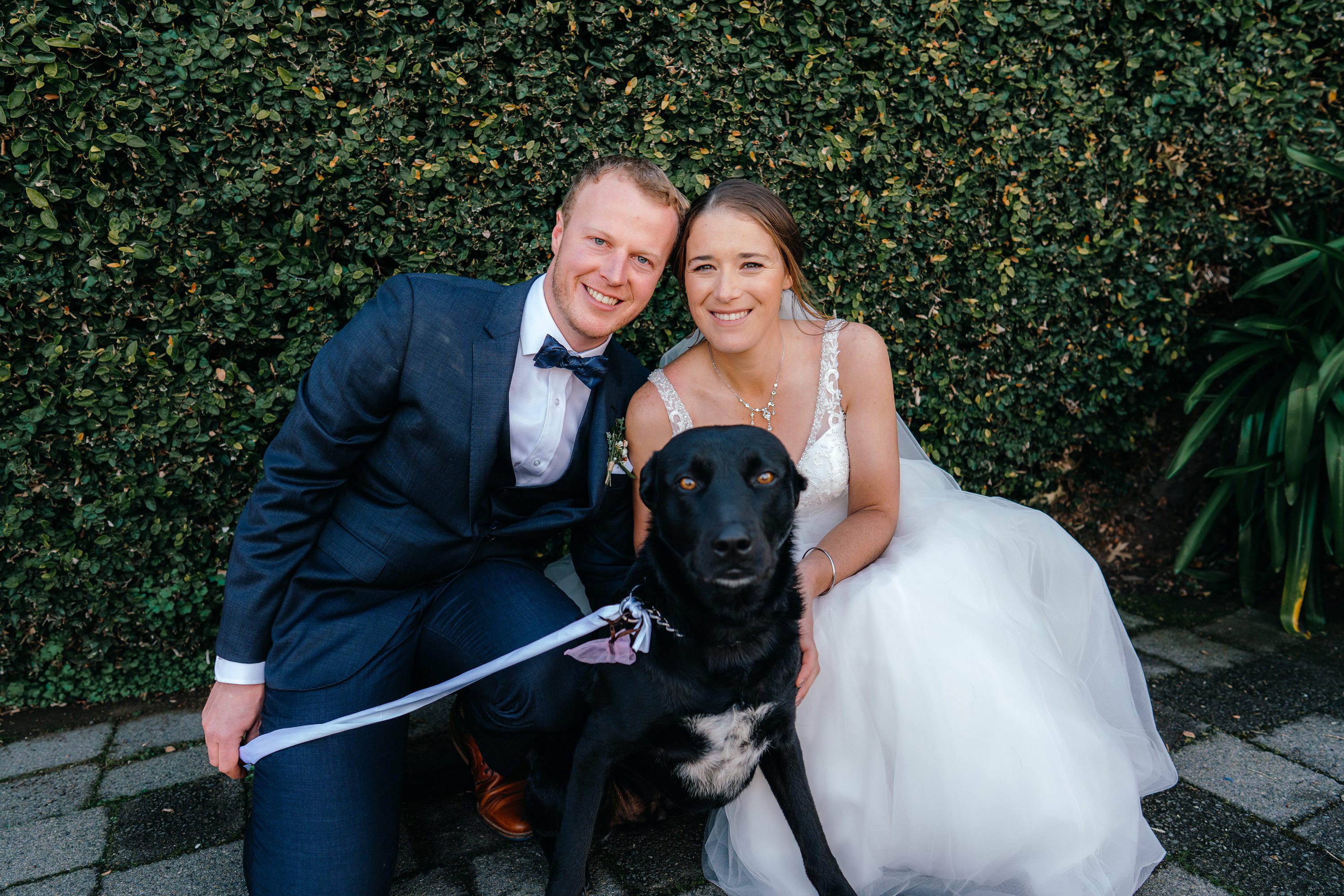 Wedding Dog,Dog at a Wedding