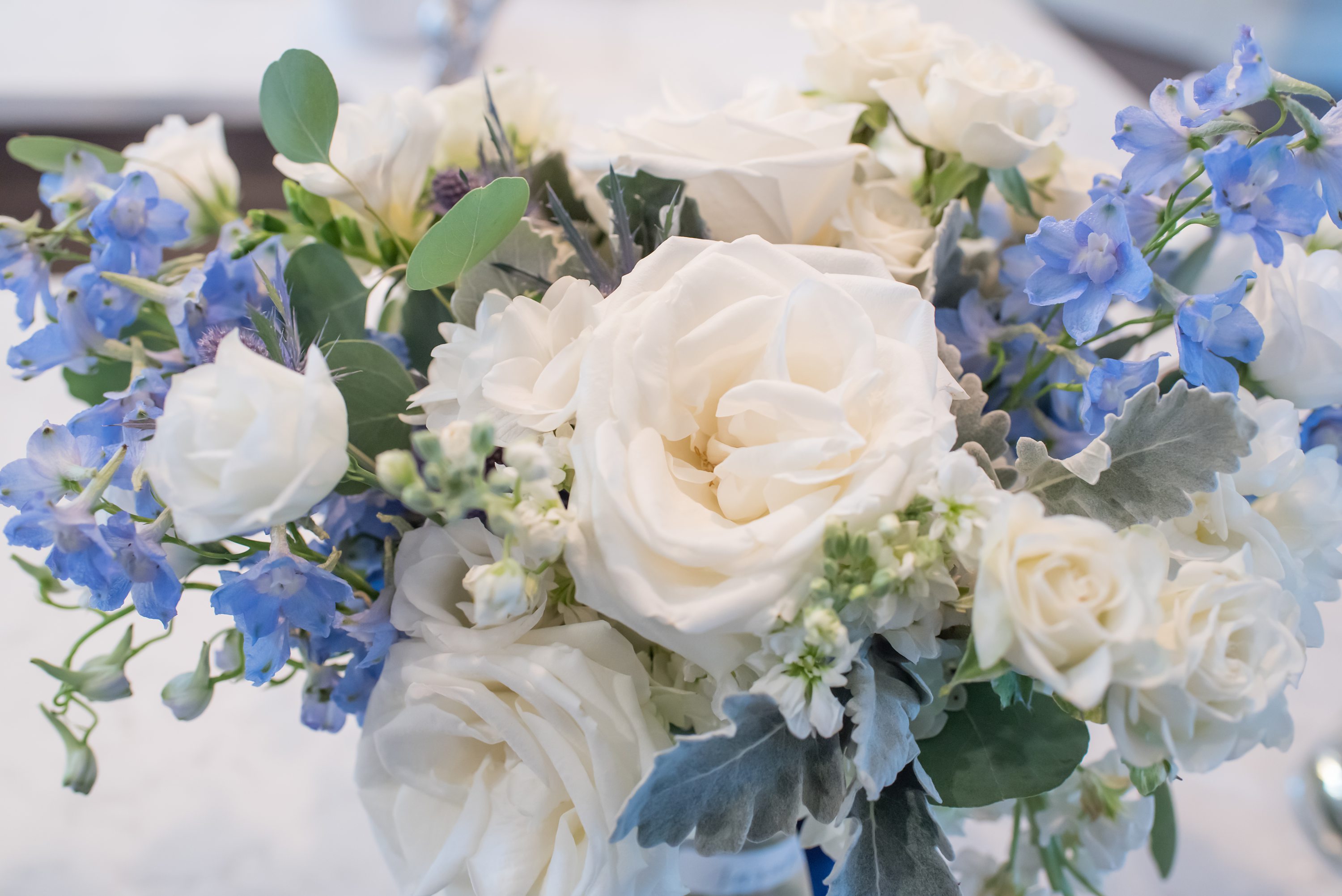 Plymouth Wedding Photographer,Maureen Russell Photography