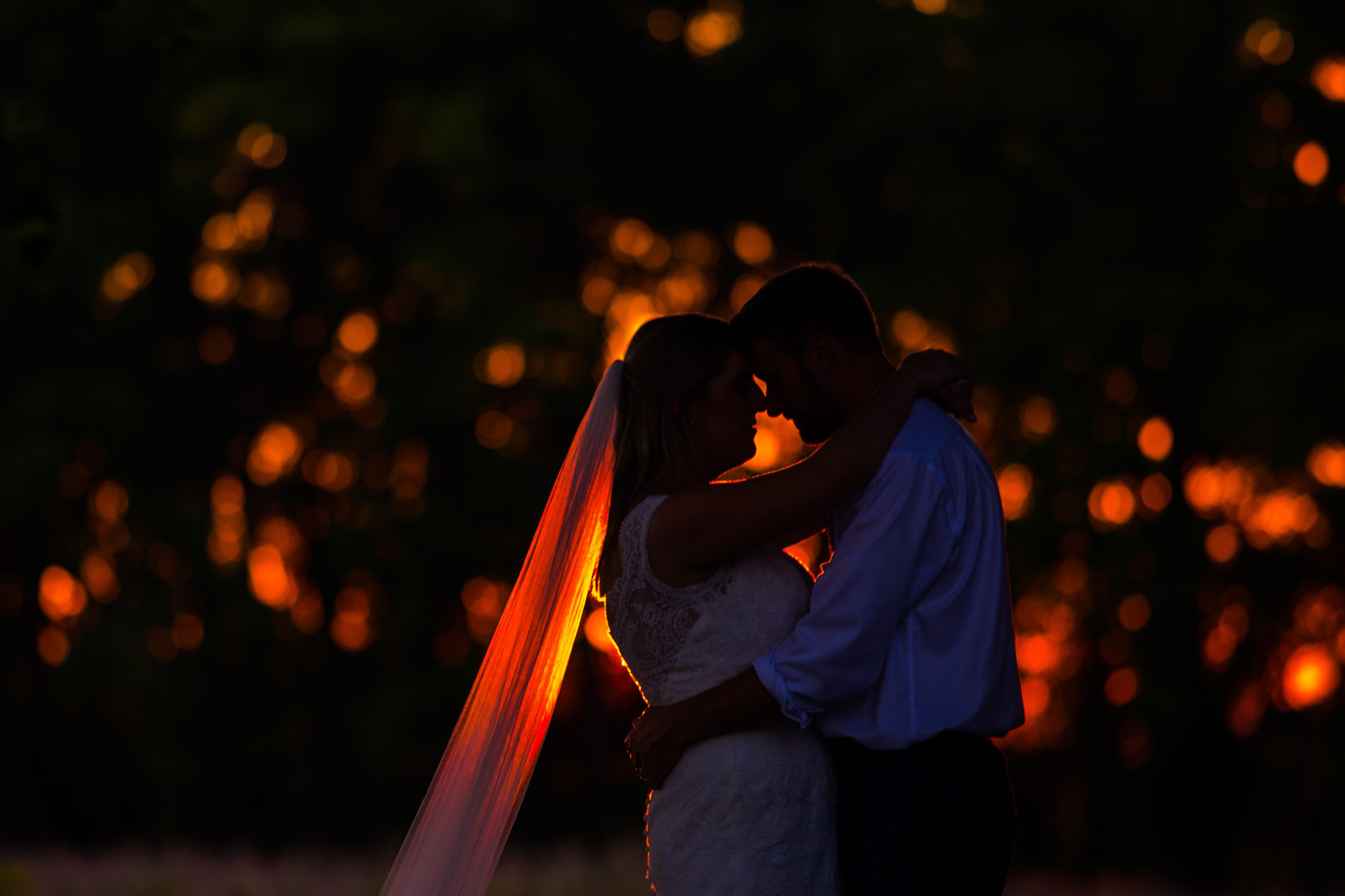 first dance photos,wedding dress