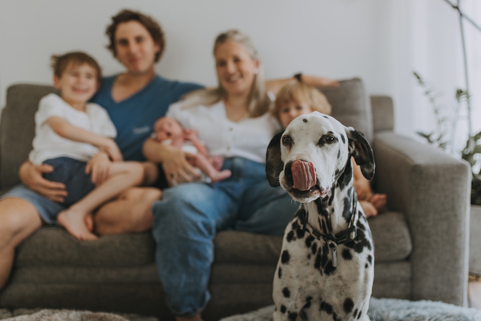 Newborn Session at home Melbourne Family Photographer,Family Portraits