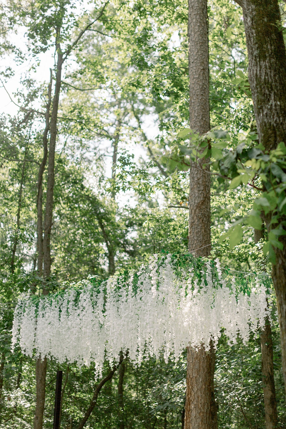 Philadelphia Mississippi Home Wedding Philadelphia MS Wedding,MS Wedding Planner,Meridian MS Florist,Meridian MS wedding planner,Philadelphia MS Home wedding,Outdoor MS Wedding