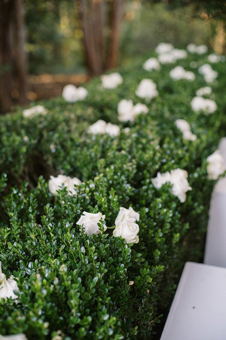 Elegant  Mississippi Home wedding