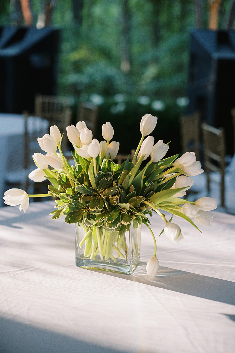 Elegant  Mississippi Home wedding