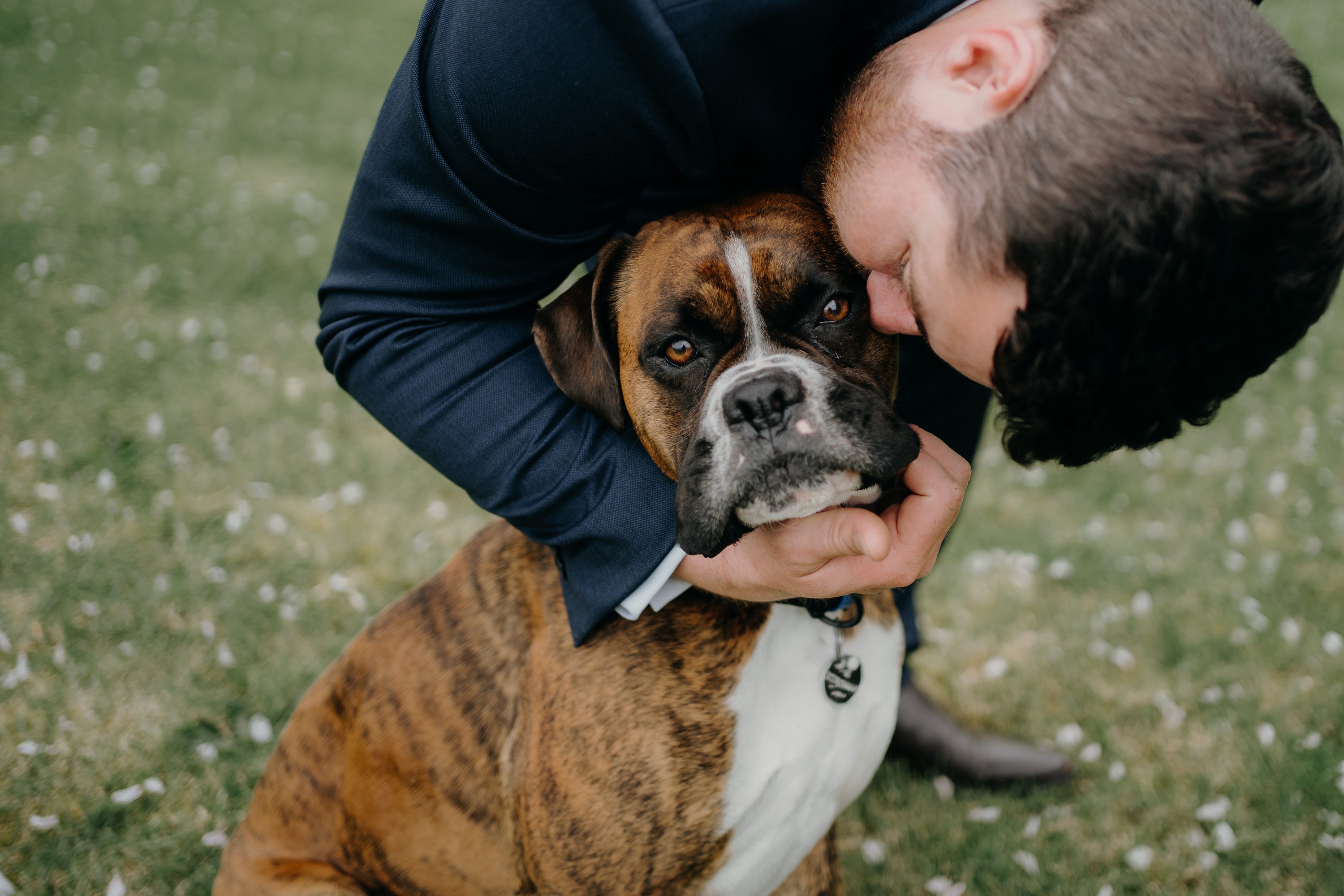 BOP weddings,Bay of Plenty Photographer