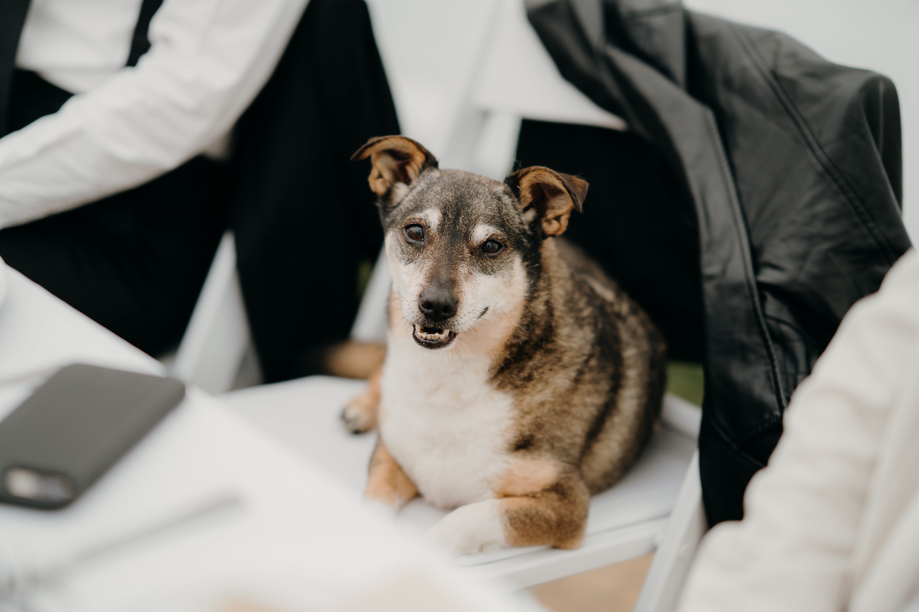 Bay of Plenty Photographer,Taupo Wedding