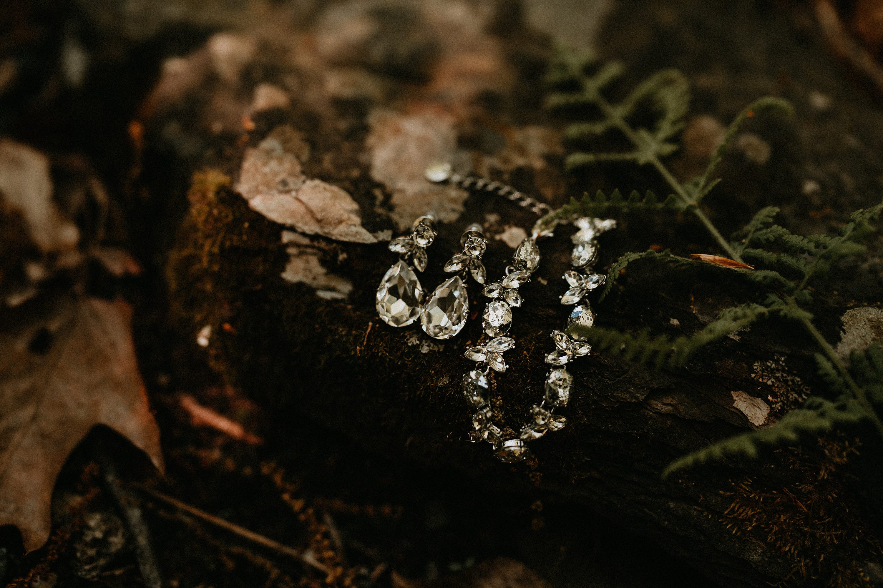 Micro Wedding at Promise Ridge,Elopement wedding photographer