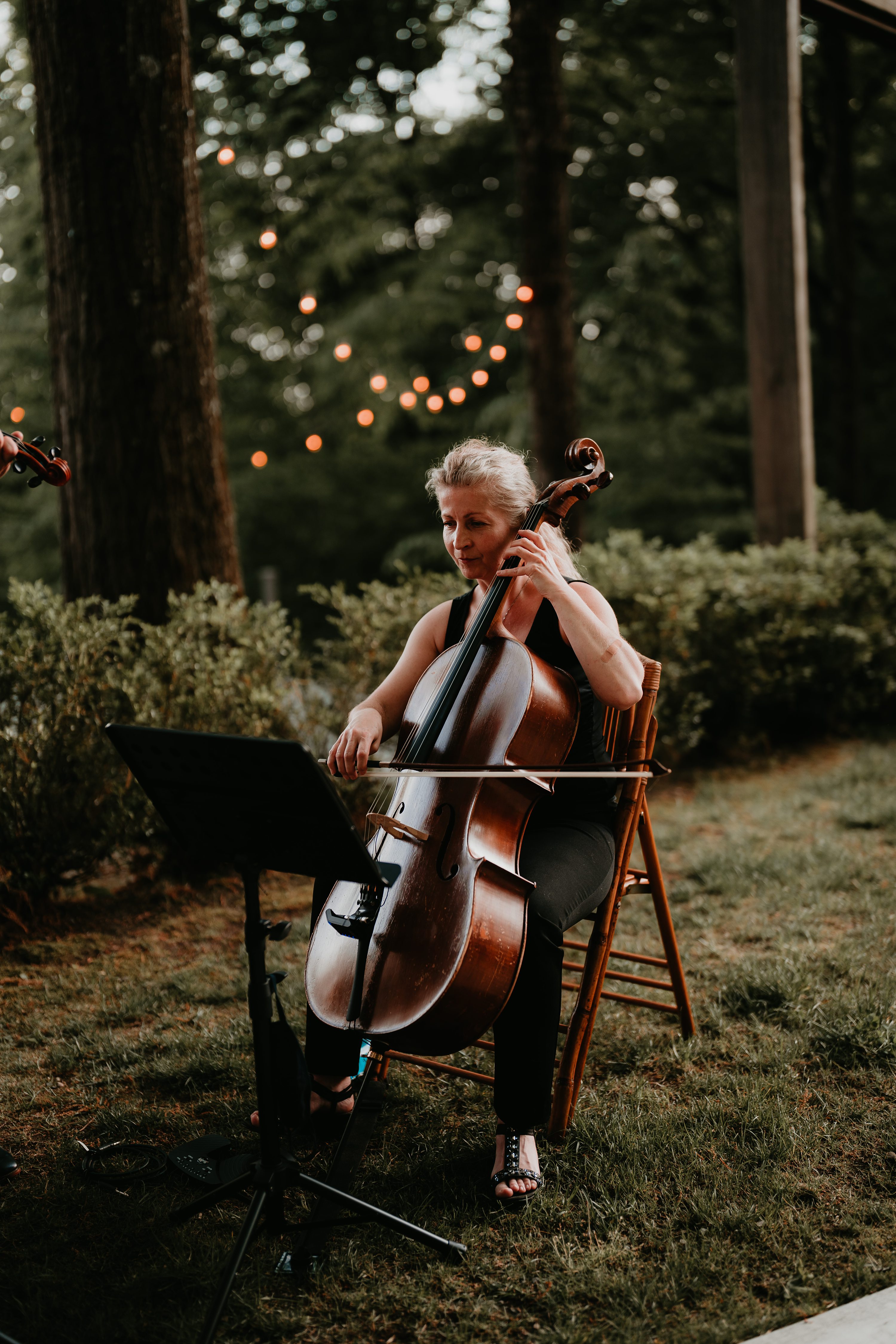 NEPA Engagement photographer,Micro wedding