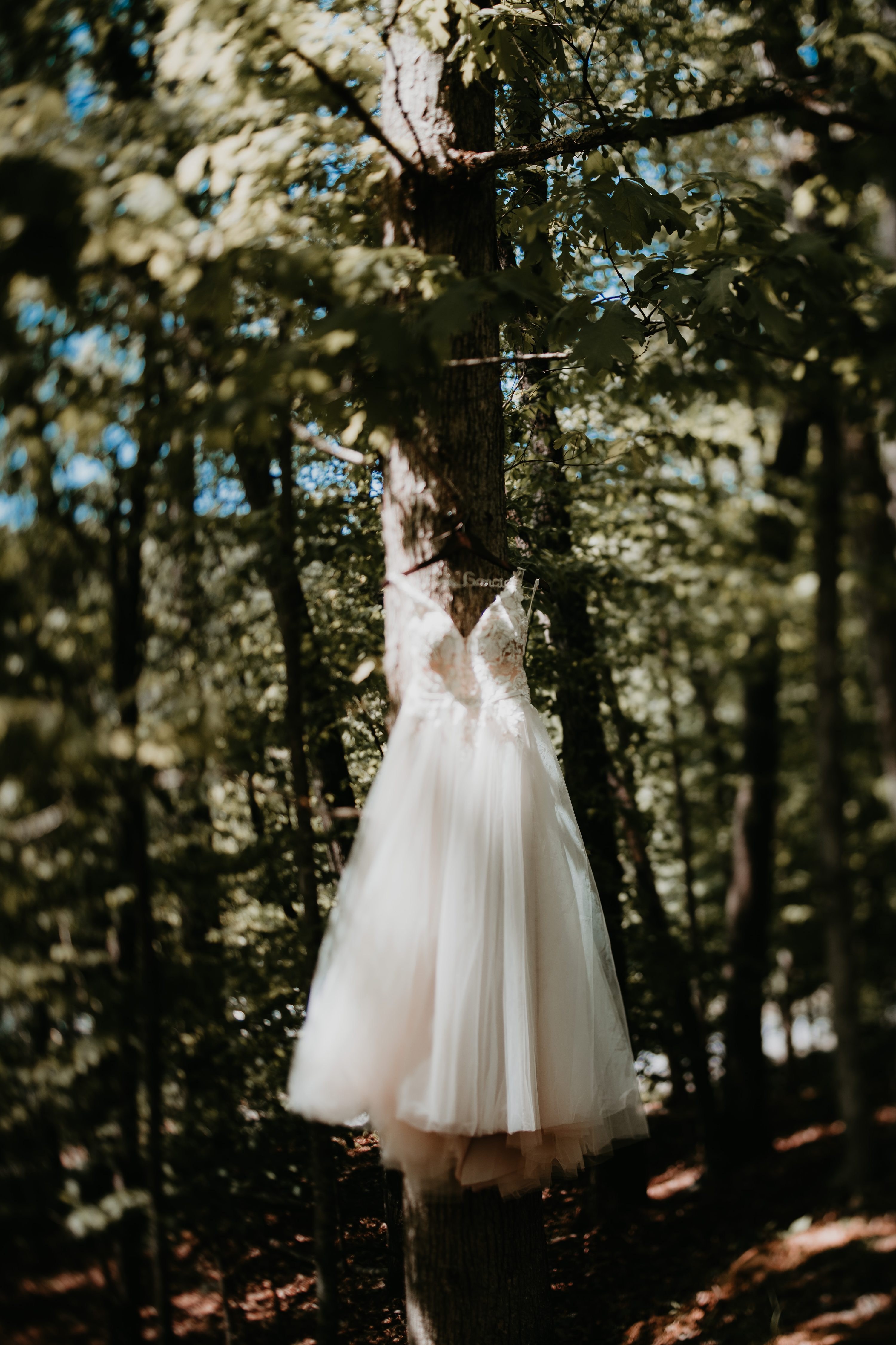 Poconos Elopement Photographer,NEPA Elopement Photographer