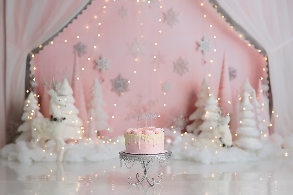 Winter Wonderland Cake Smash in Naperville smash the cake photos sboot,cake smash photographers near me