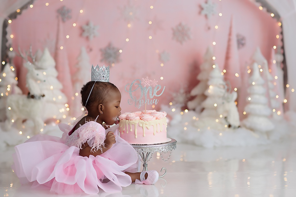 Winter Wonderland Cake Smash in Naperville Naperville cake smash photographer,smash the cake photos sboot