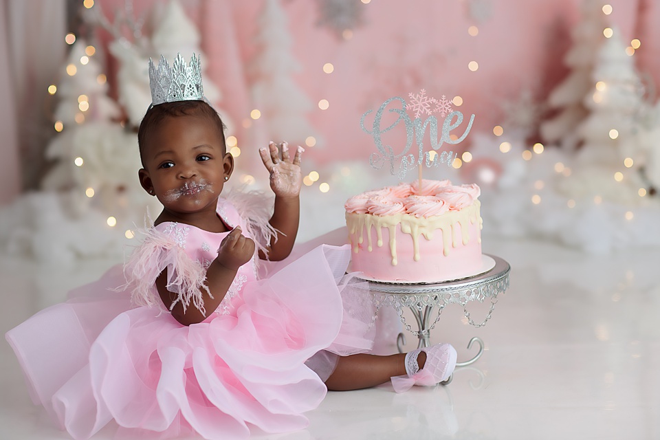 Winter Wonderland Cake Smash in Naperville alice in wonderland cake smash boy, Chicago baby photographer