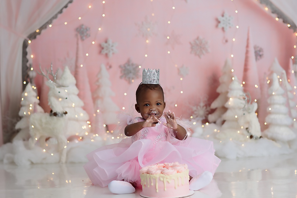 Winter Wonderland Cake Smash in Naperville Naperville cake smash photographer