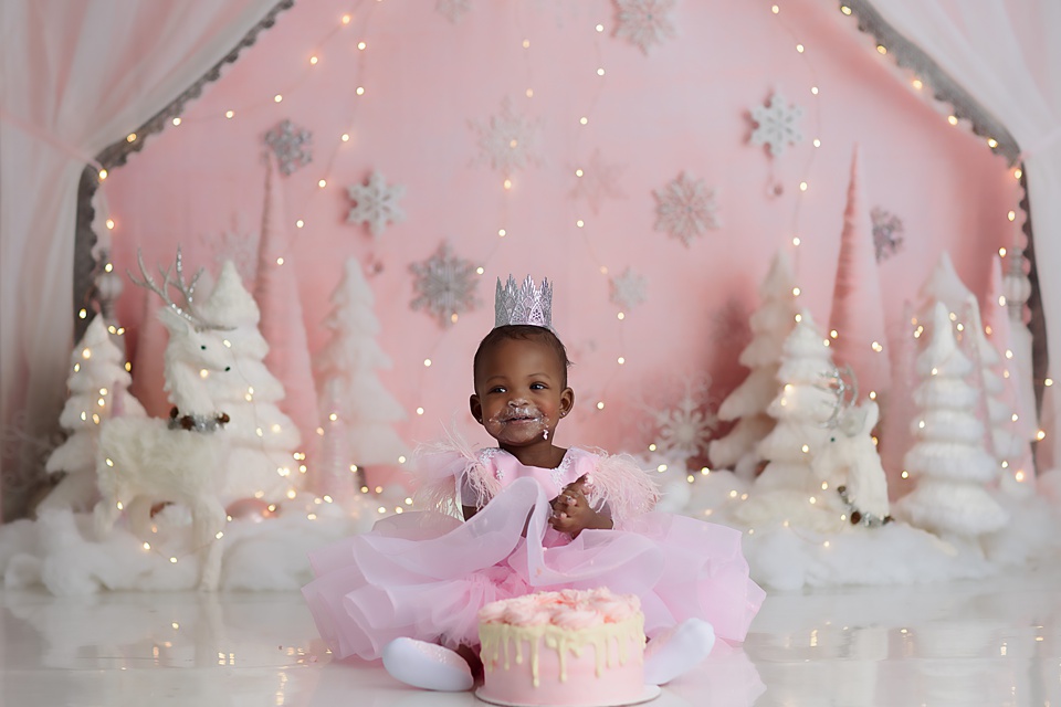 Winter Wonderland Cake Smash in Naperville cake smash photographers near me,smash the cake photos sboot