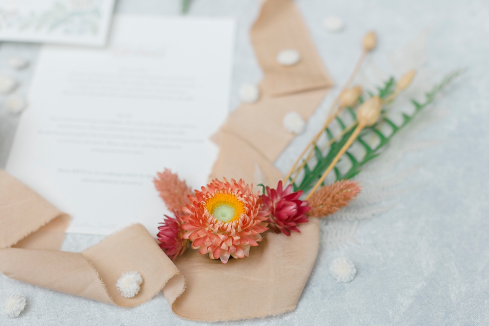 bolotie for groomsmen,jana scott wedding photographer