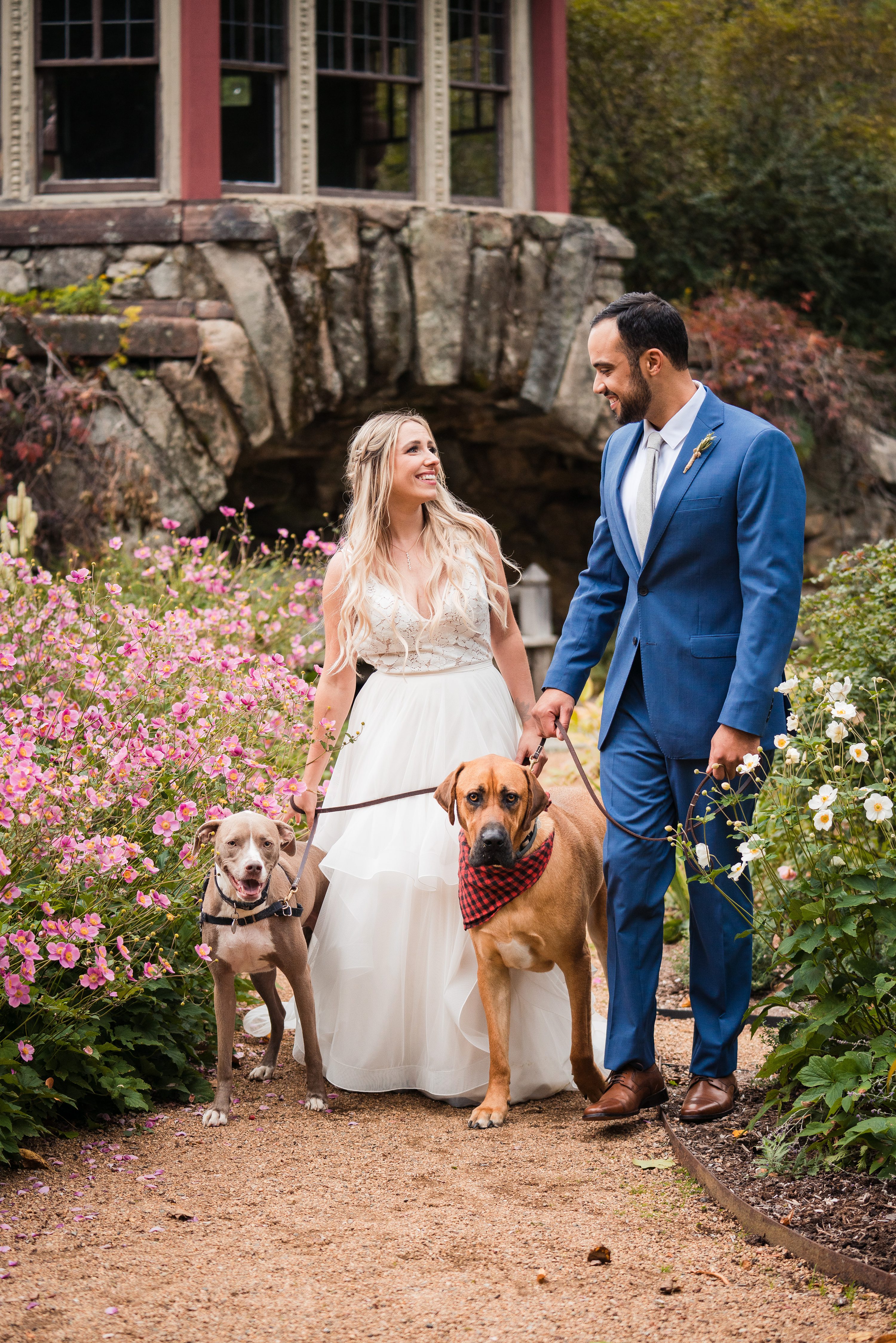 Sony A7RIV,Natural wedding photography,dogs at wedding