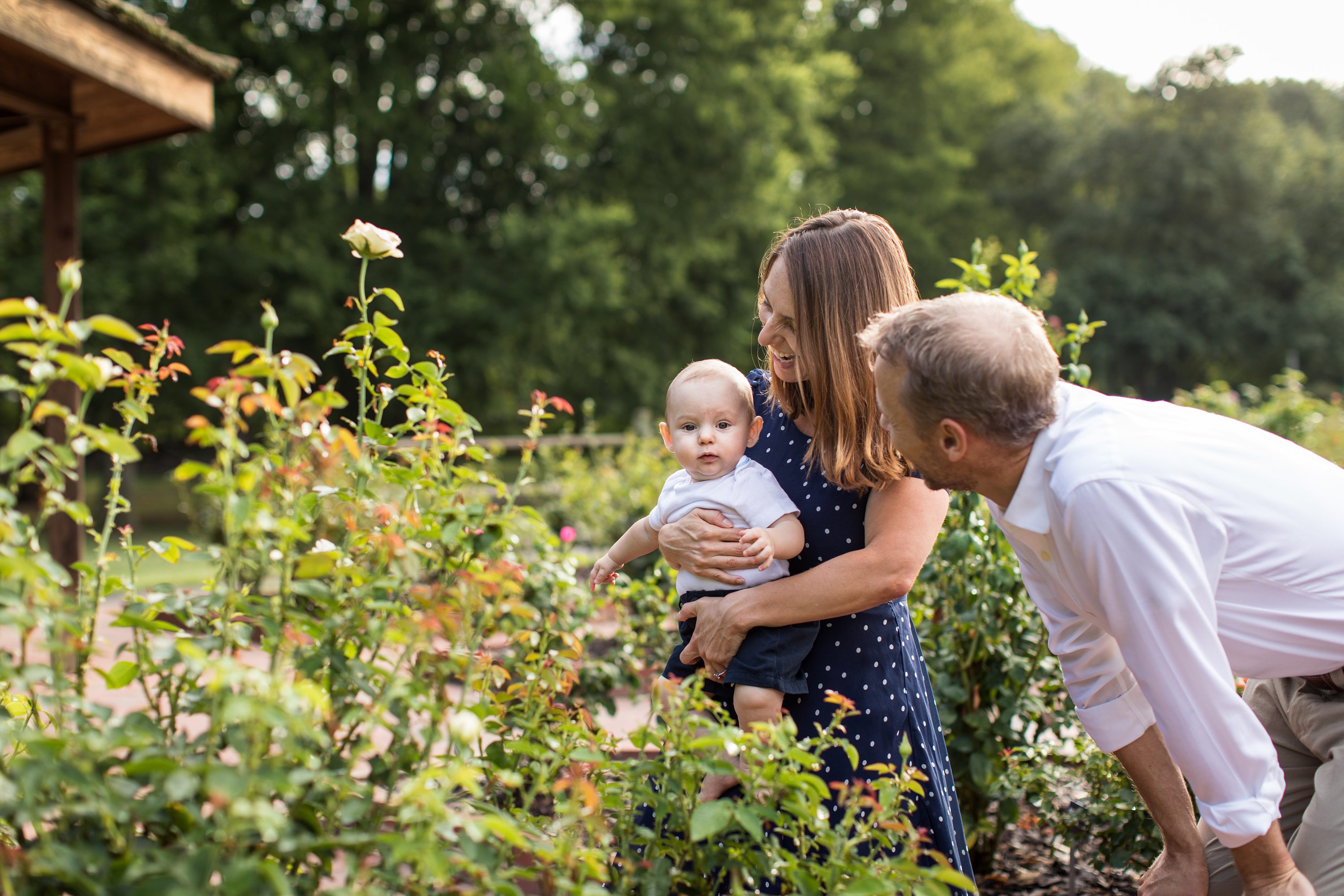 garden baby photos,Chapel Hill,gene stroud rose garden park,family in garden,baby in garden