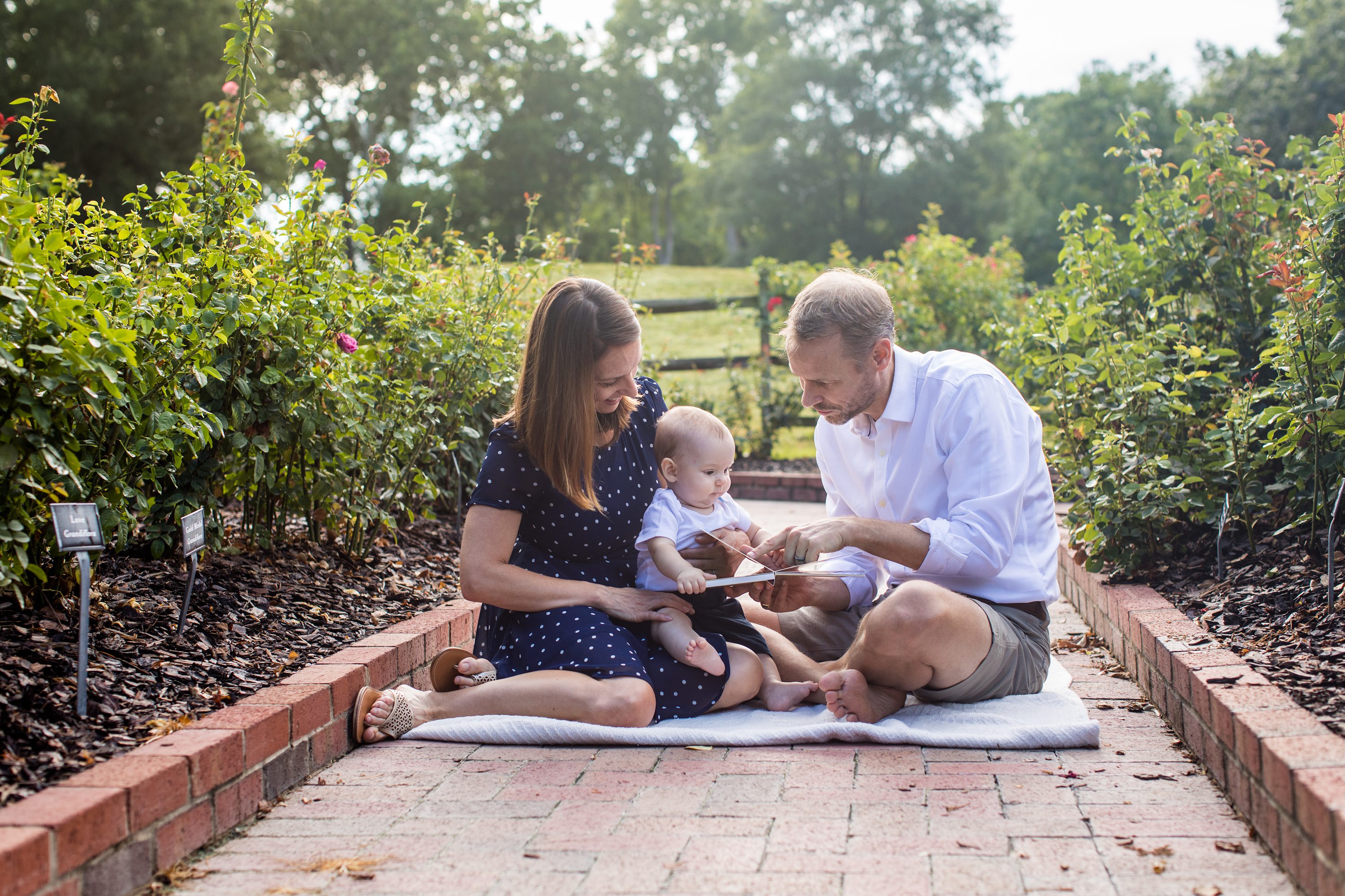 Raleigh Baby Photography,Chapel Hill