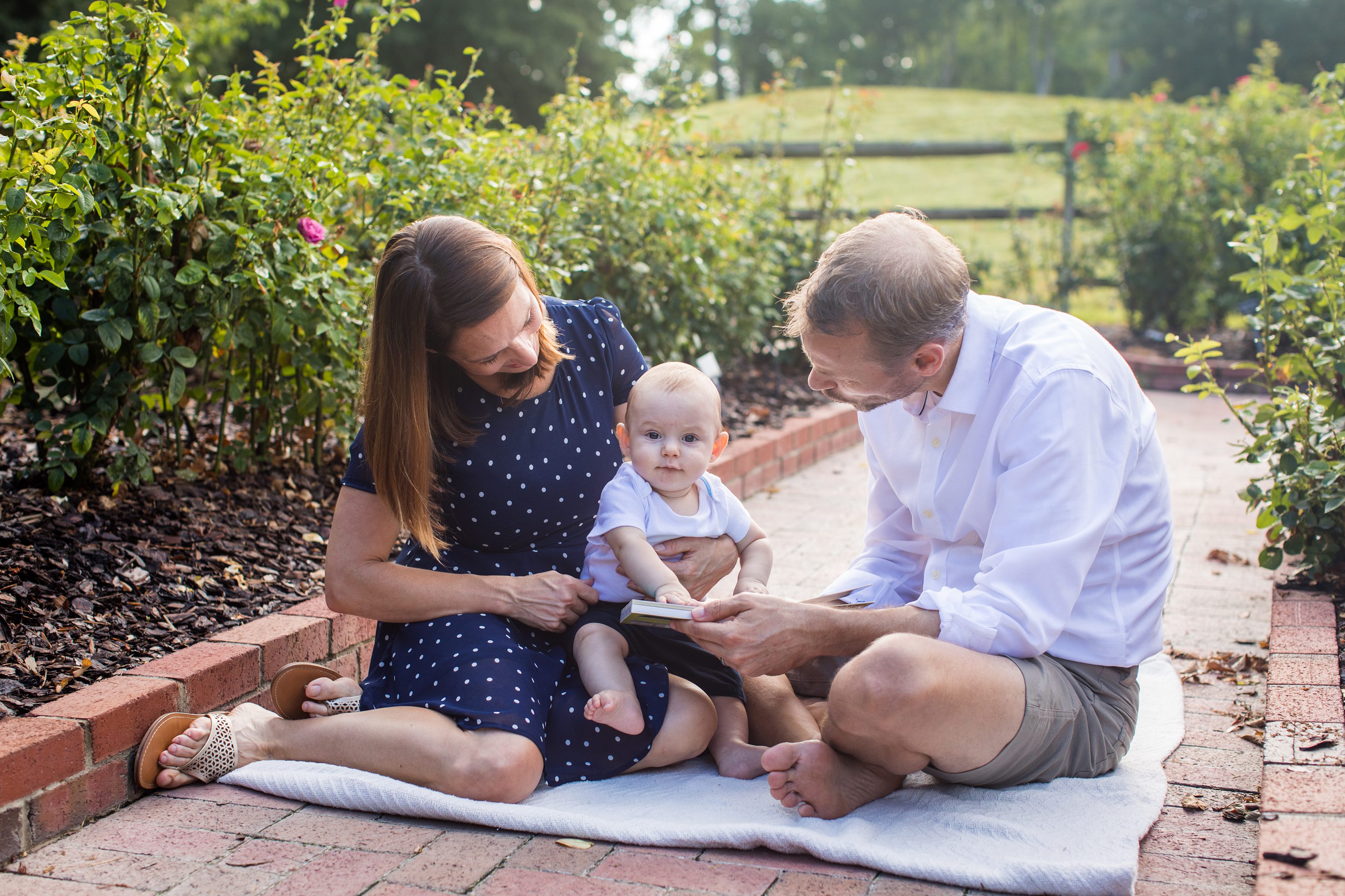 Bolin Creek Trail,garden baby photos,gene stroud rose garden park