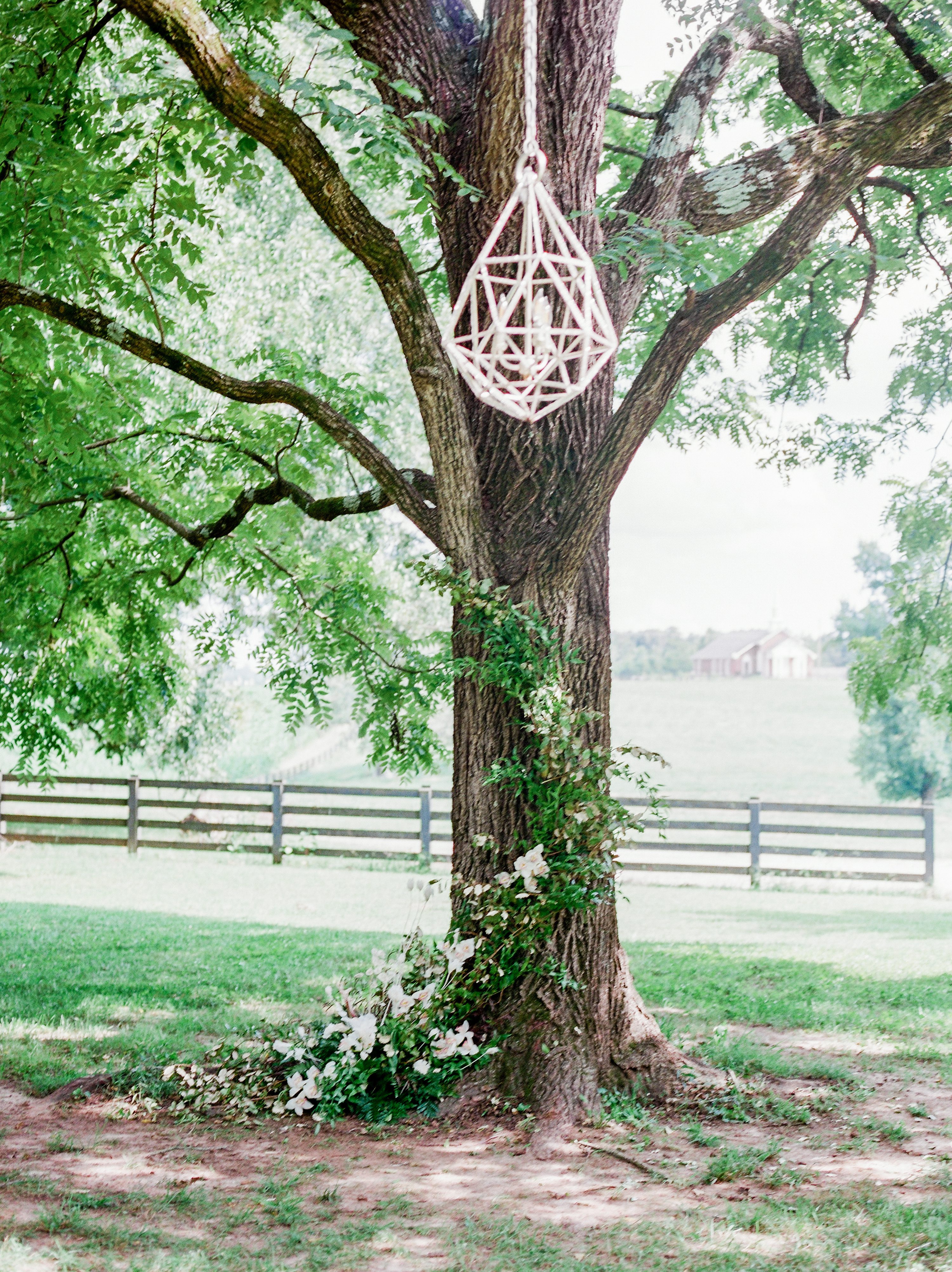 White,Plantation