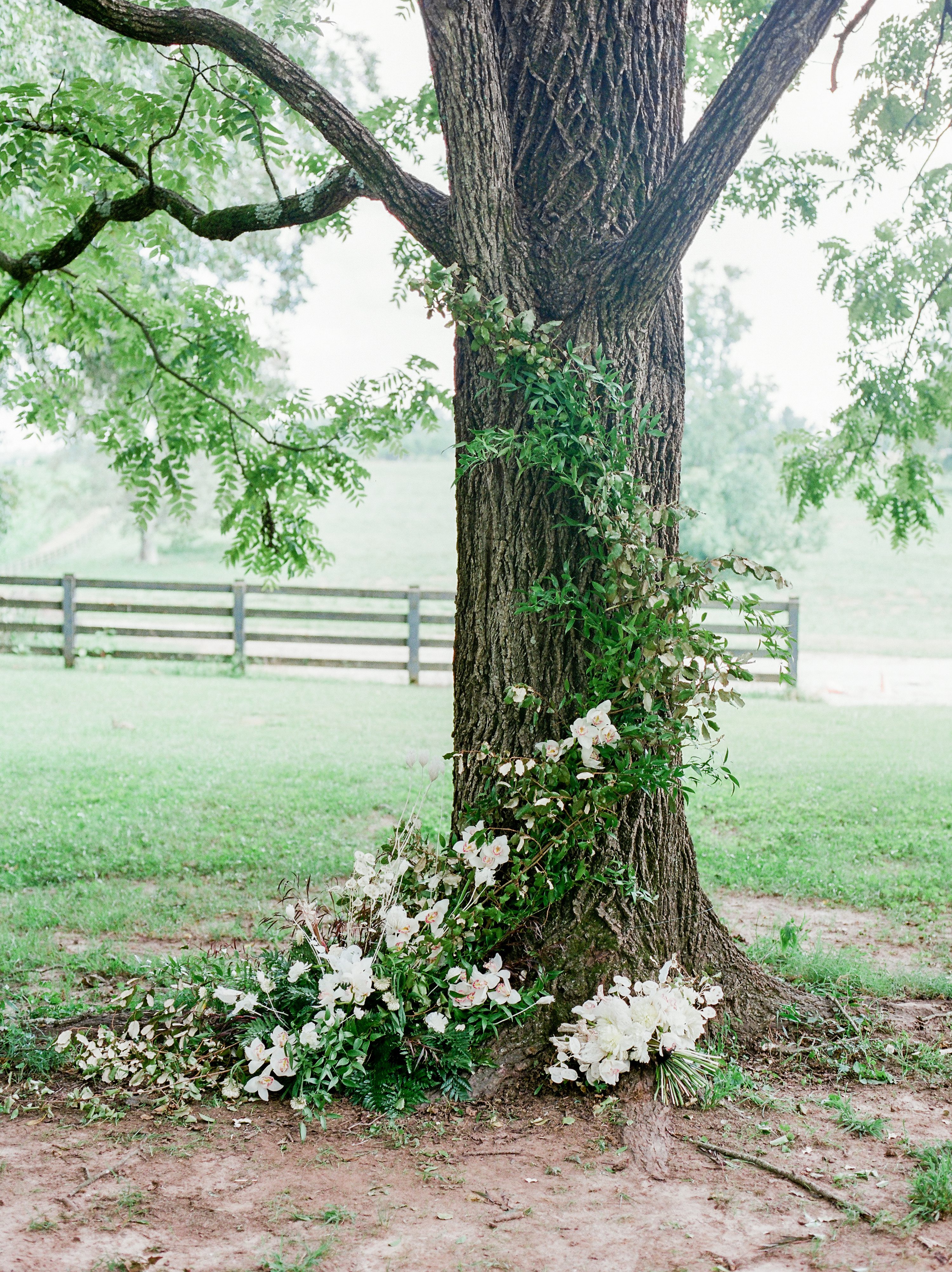 Outdoor Ceremony,Plantation