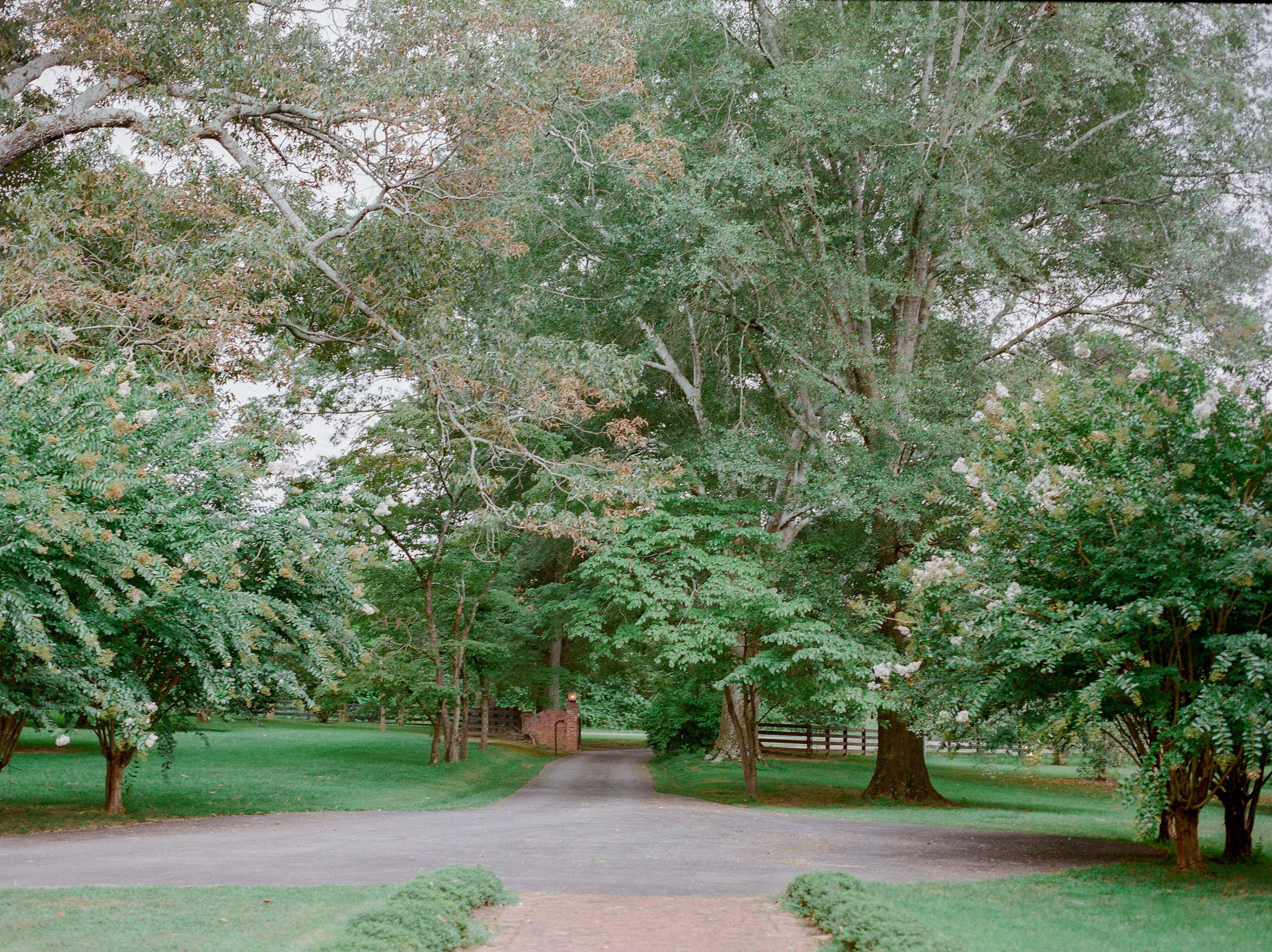 North Georgia Wedding