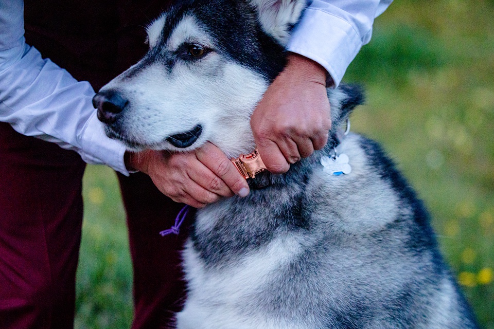 colorado elopement,blue lakes ridgway