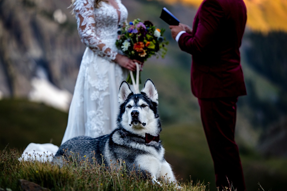 Telluride elopement,blue lakes colorado elopement photographer