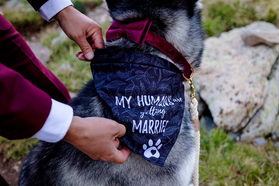 san juan mountain elopement,Telluride elopement