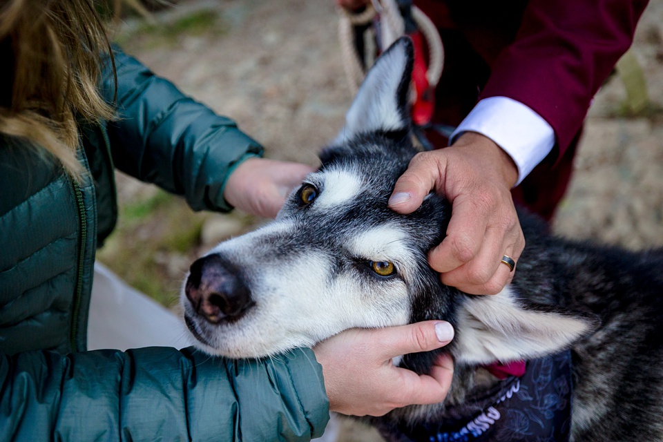 san juan mountain elopement,telluride elopement photographer