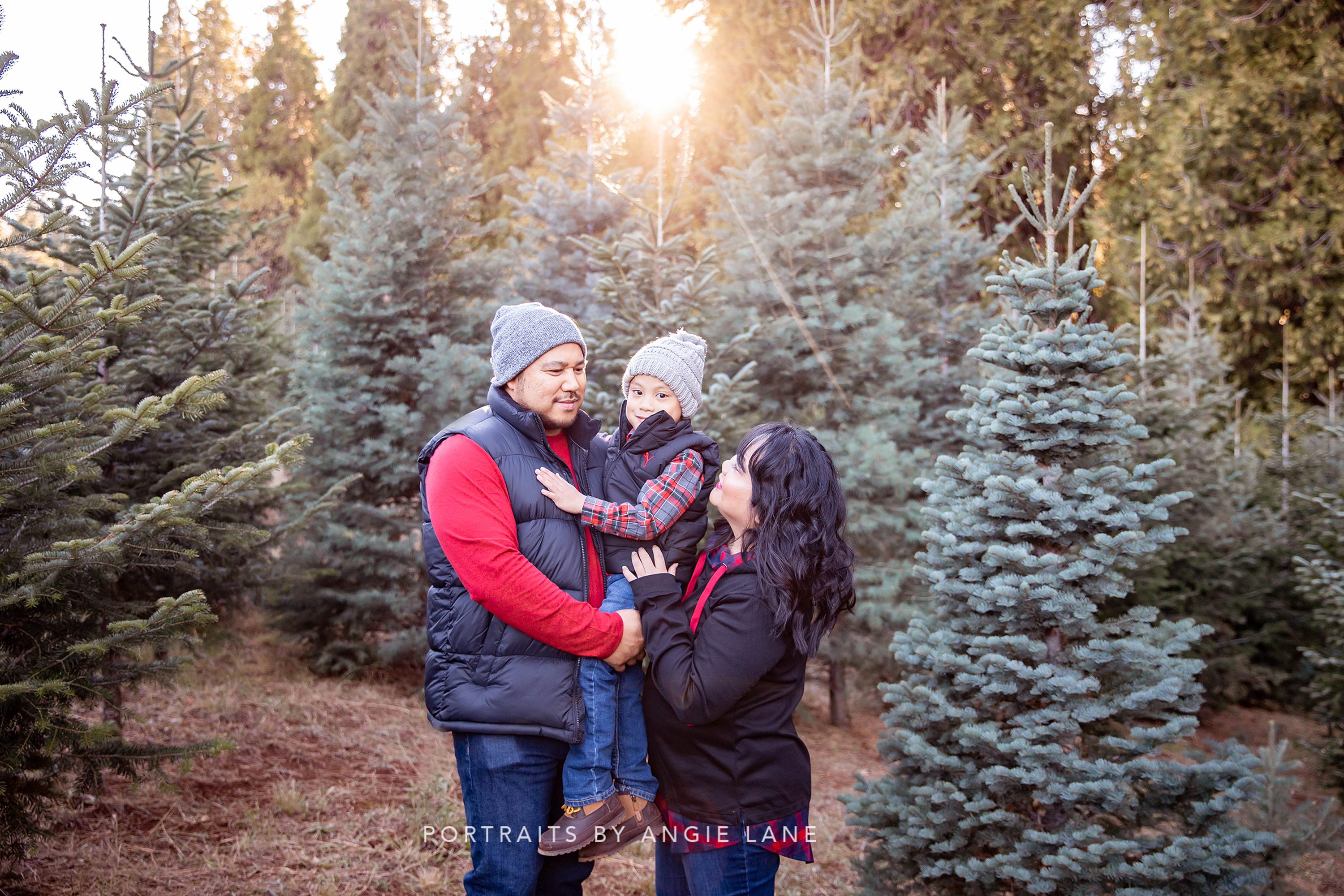 Christmas mini sessions Christmas tree farm Tree farm family sessions Christmas session styling Christmas tree farm outfits Family Mini session Outfits