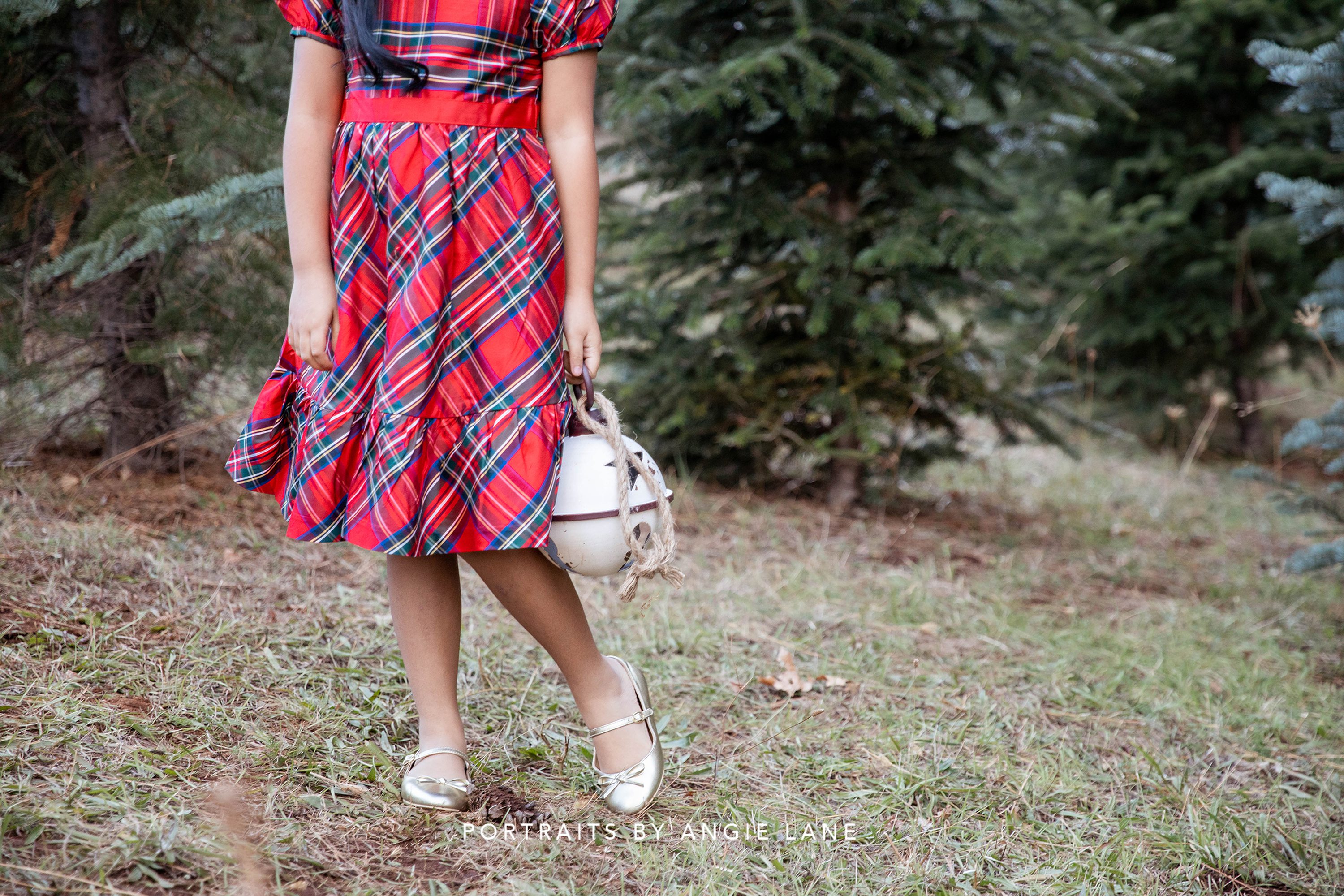 Christmas mini sessions Christmas tree farm Tree farm family sessions Christmas session styling Christmas tree farm outfits Family Mini session Outfits