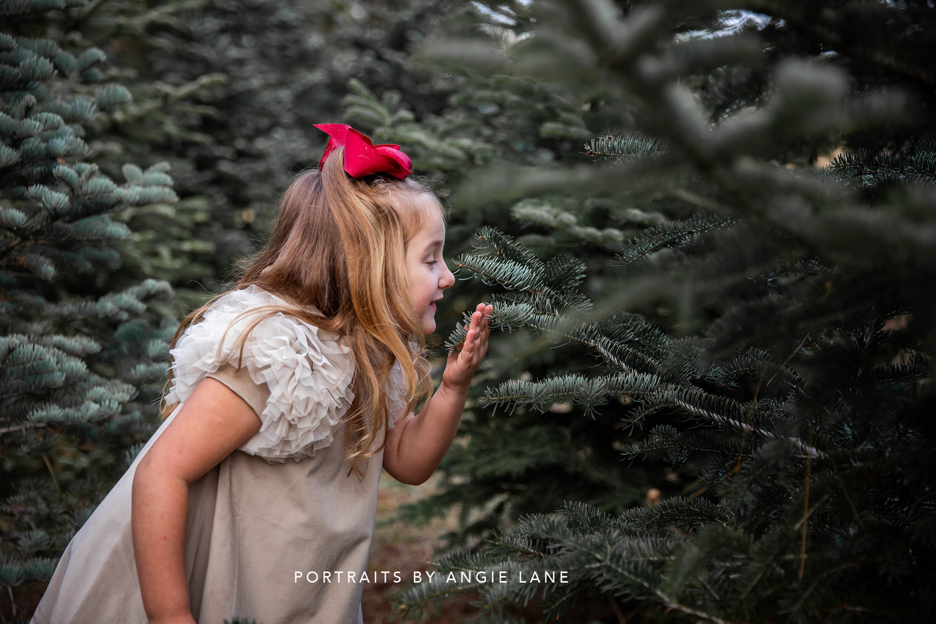 Christmas mini sessions Christmas tree farm Tree farm family sessions Christmas session styling Christmas tree farm outfits Family Mini session Outfits