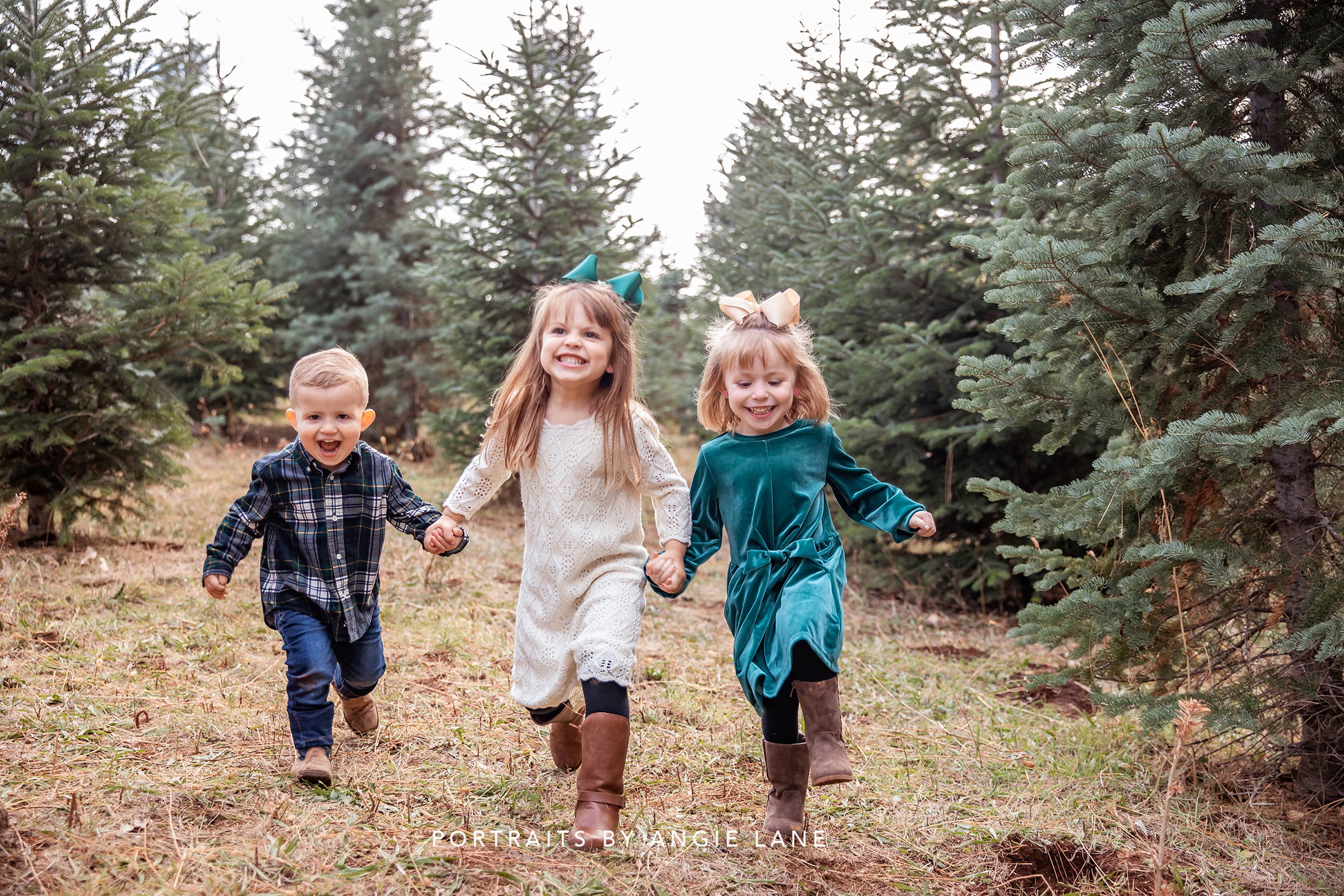 Christmas mini sessions Christmas tree farm Tree farm family sessions Christmas session styling Christmas tree farm outfits Family Mini session Outfits