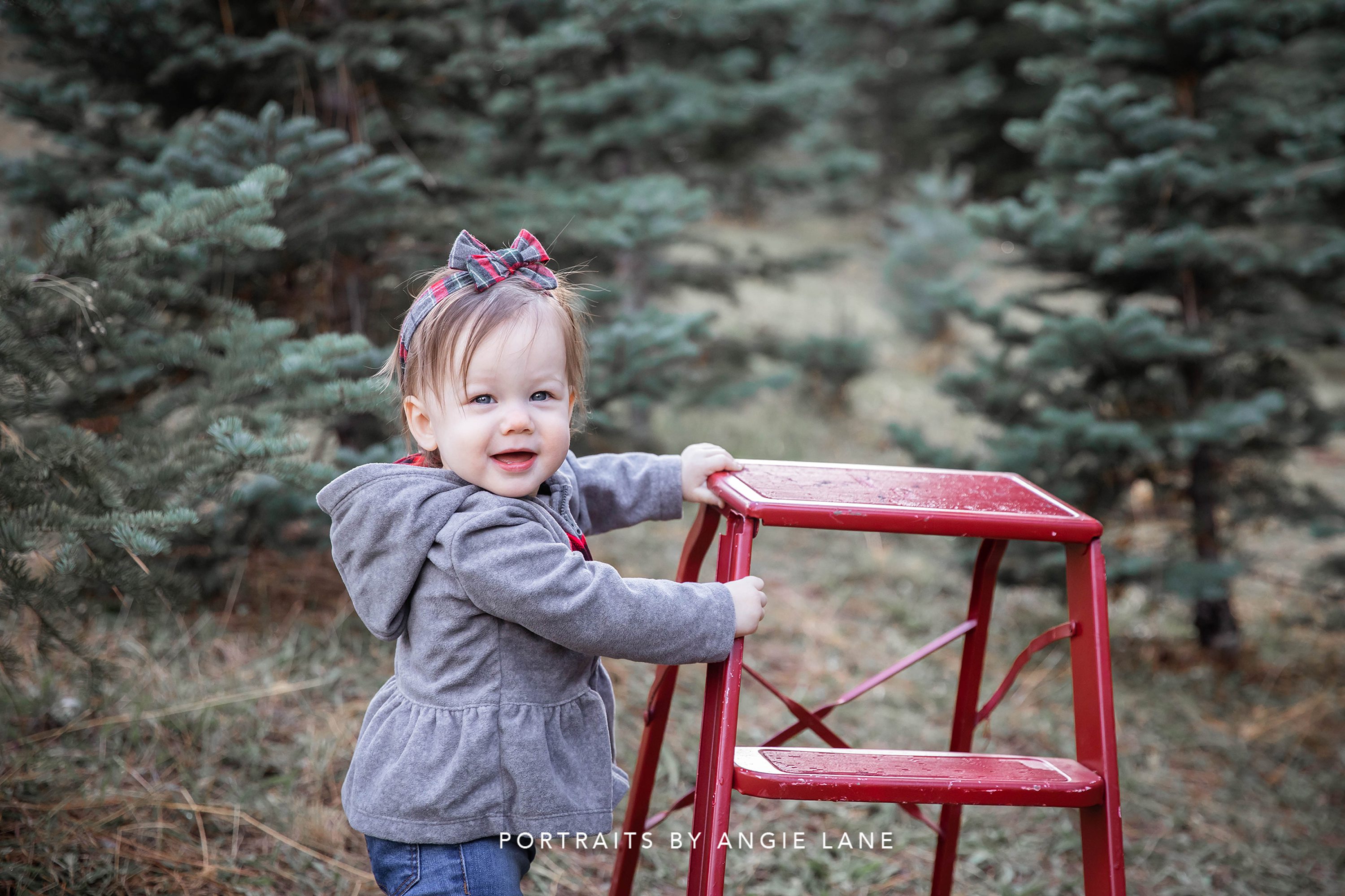 Christmas mini sessions Christmas tree farm Tree farm family sessions Christmas session styling Christmas tree farm outfits Family Mini session Outfits