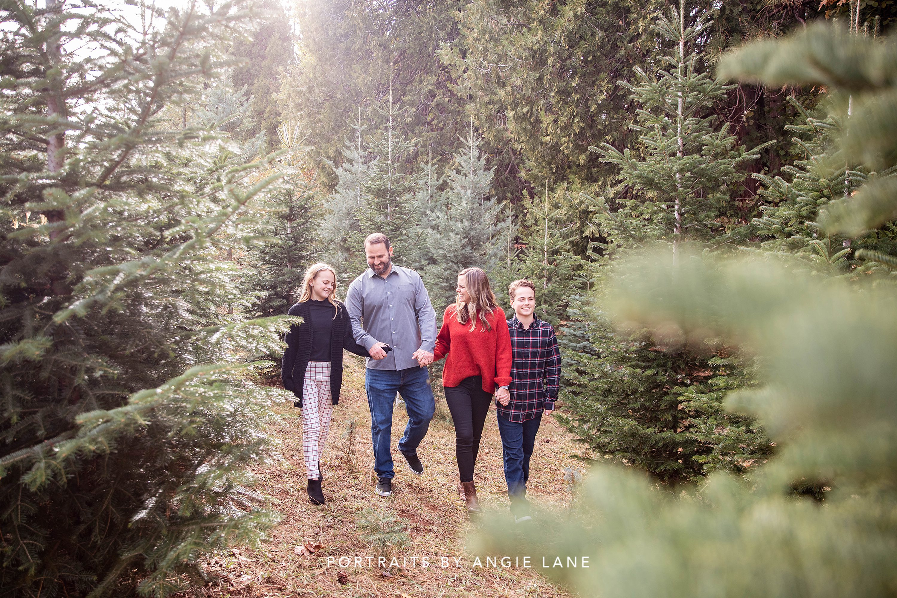 Christmas mini sessions Christmas tree farm Tree farm family sessions Christmas session styling Christmas tree farm outfits Family Mini session Outfits