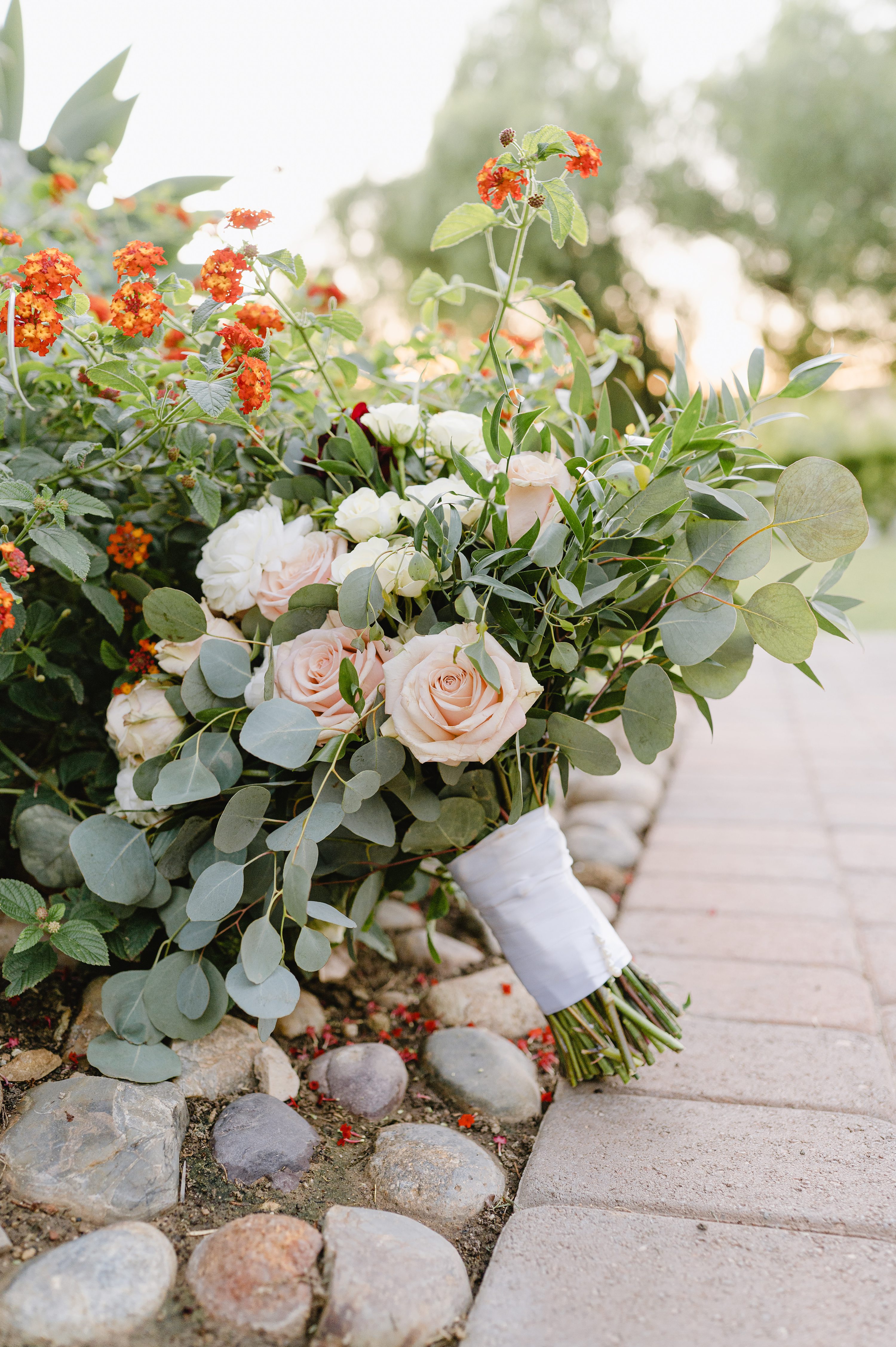 Affordable orange county wedding photographer