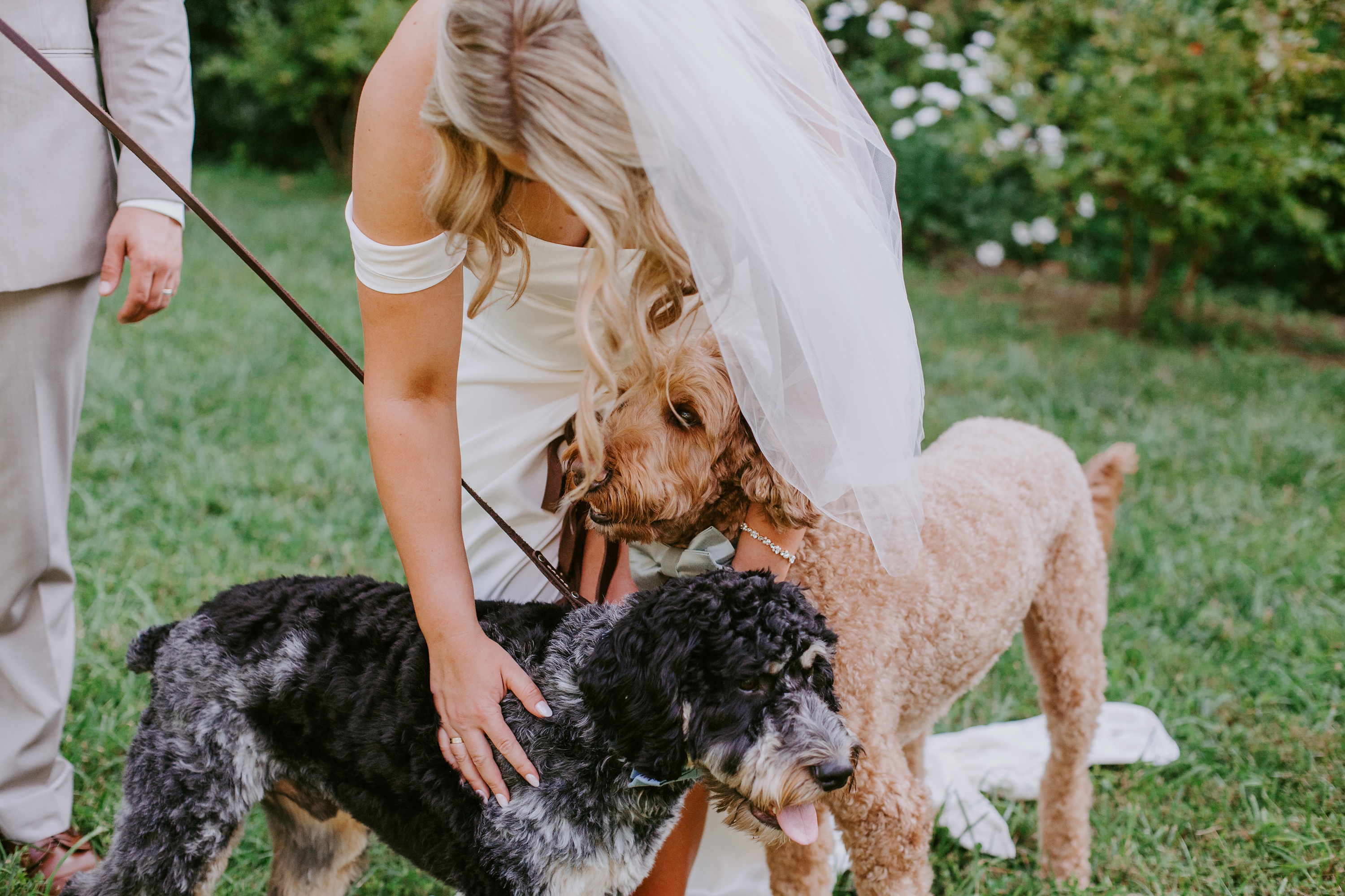 Luxury Cabin Wedding Asheville,Asheville Cabin Elopement,Luxury Mountain Cabin Elopement