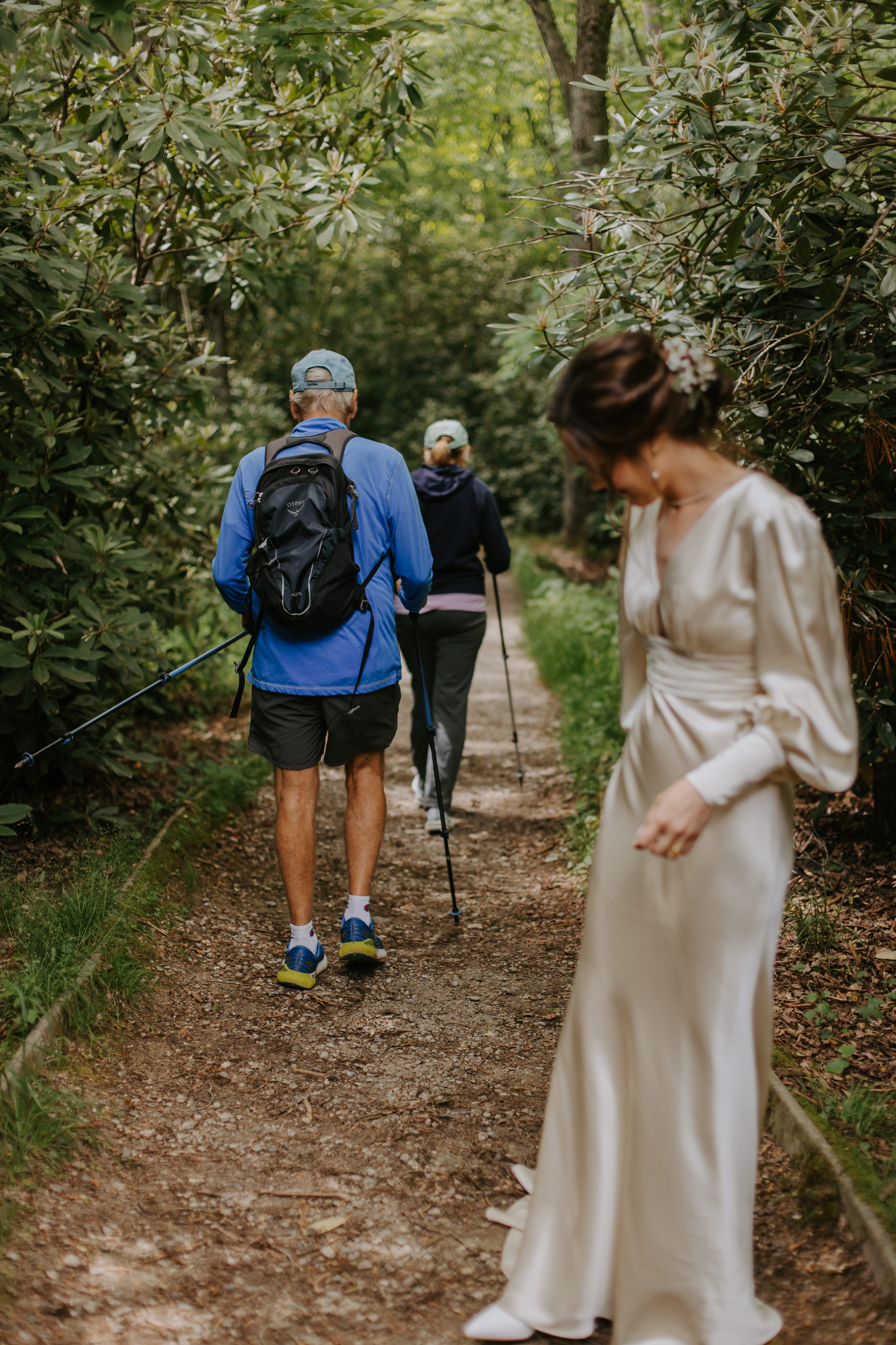 Example Shoot Title Tag Blue Ridge Mountain Wedding Photographer,North Carolina Elopement