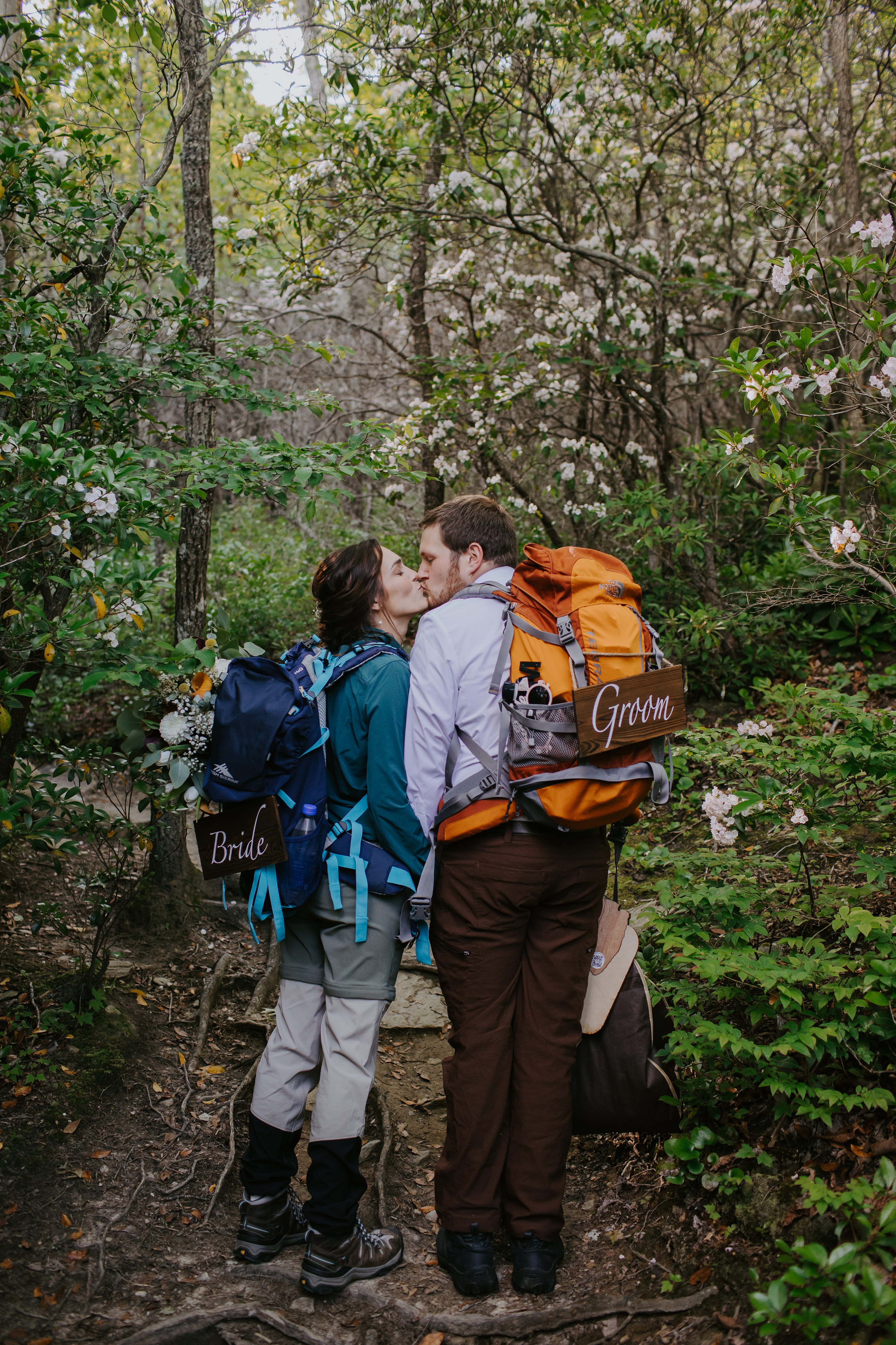 Example Shoot Title Tag Blue Ridge Mountains,North Carolina Elopement