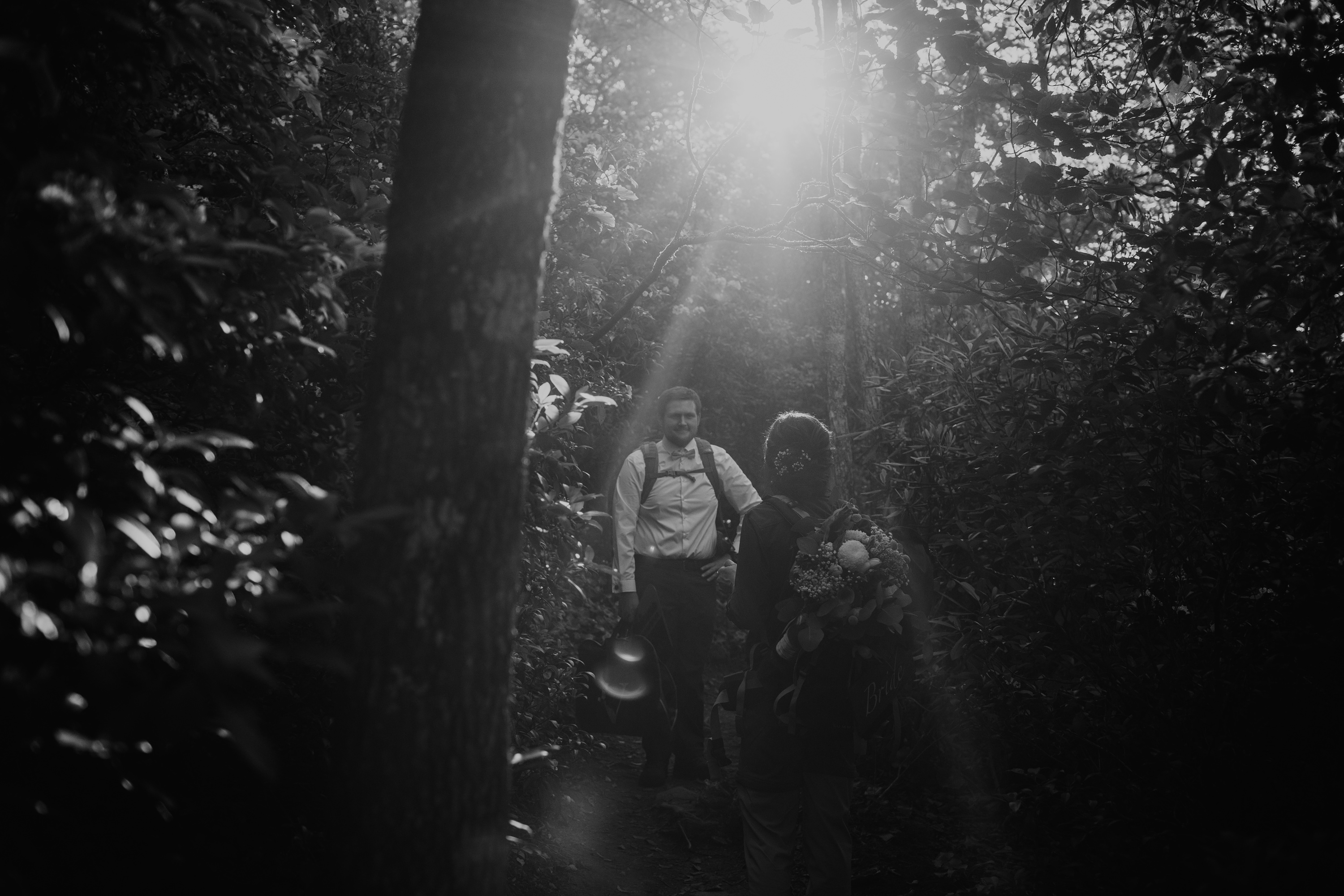 Example Shoot Title Tag Blue Ridge Mountain Wedding