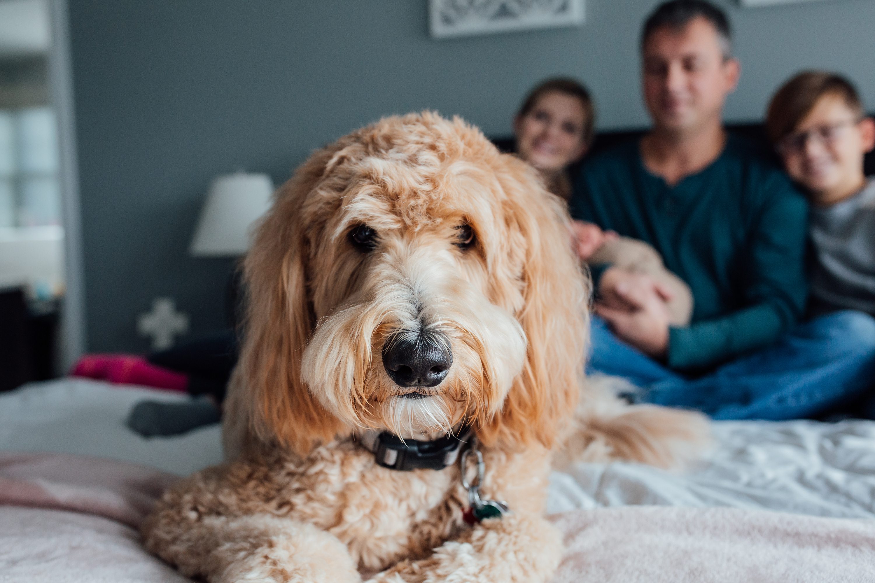 sheena magnesen photography,family,portrait,photographer,kids,Naperville,baby,maternity,lifestyle