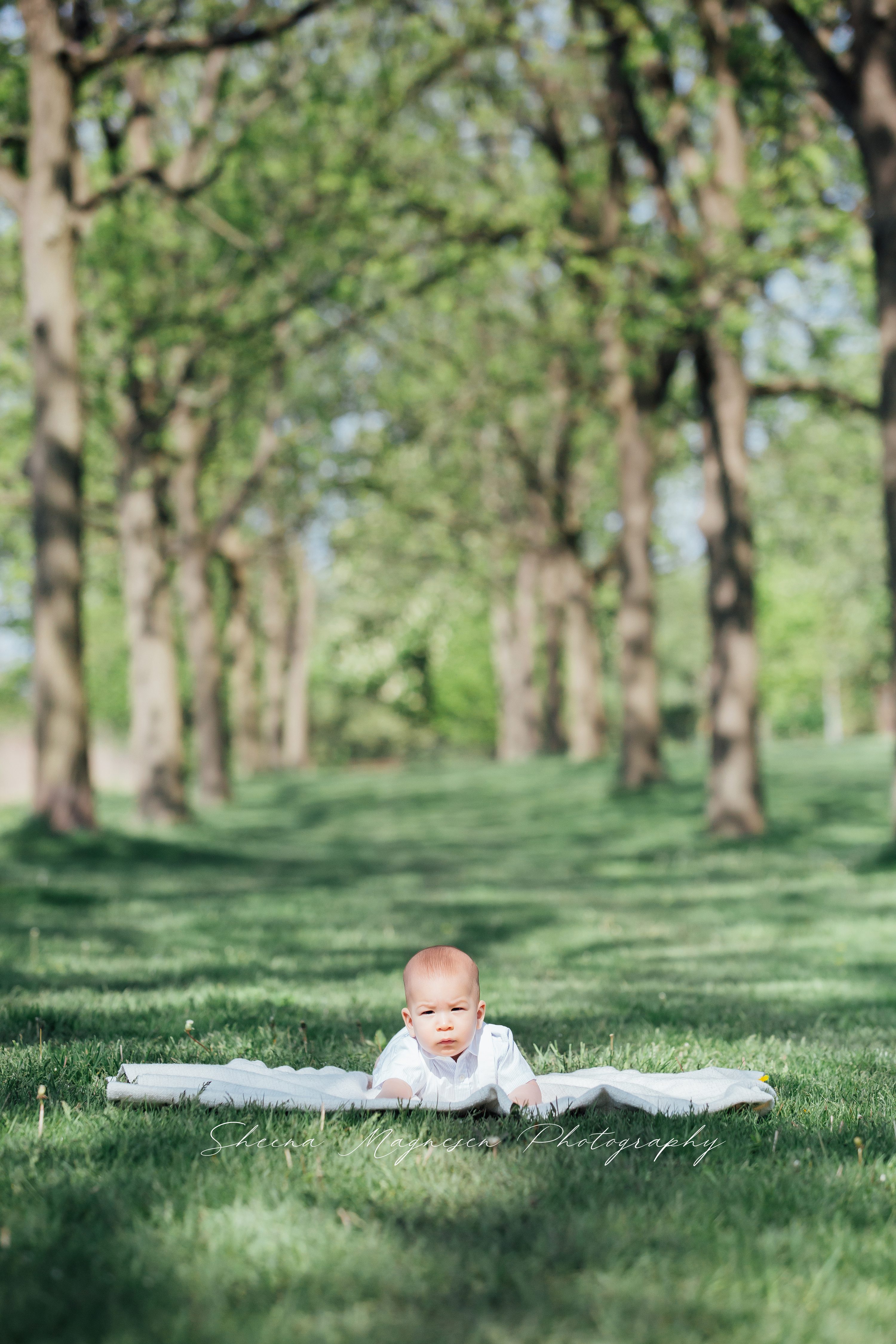 naperville,naperville photographer,naperville family photographer,naperville senior photographer,plainfield,plainfield family photographer,plainfield child photographer,plainfield senior photographer,sheena magnesen photography