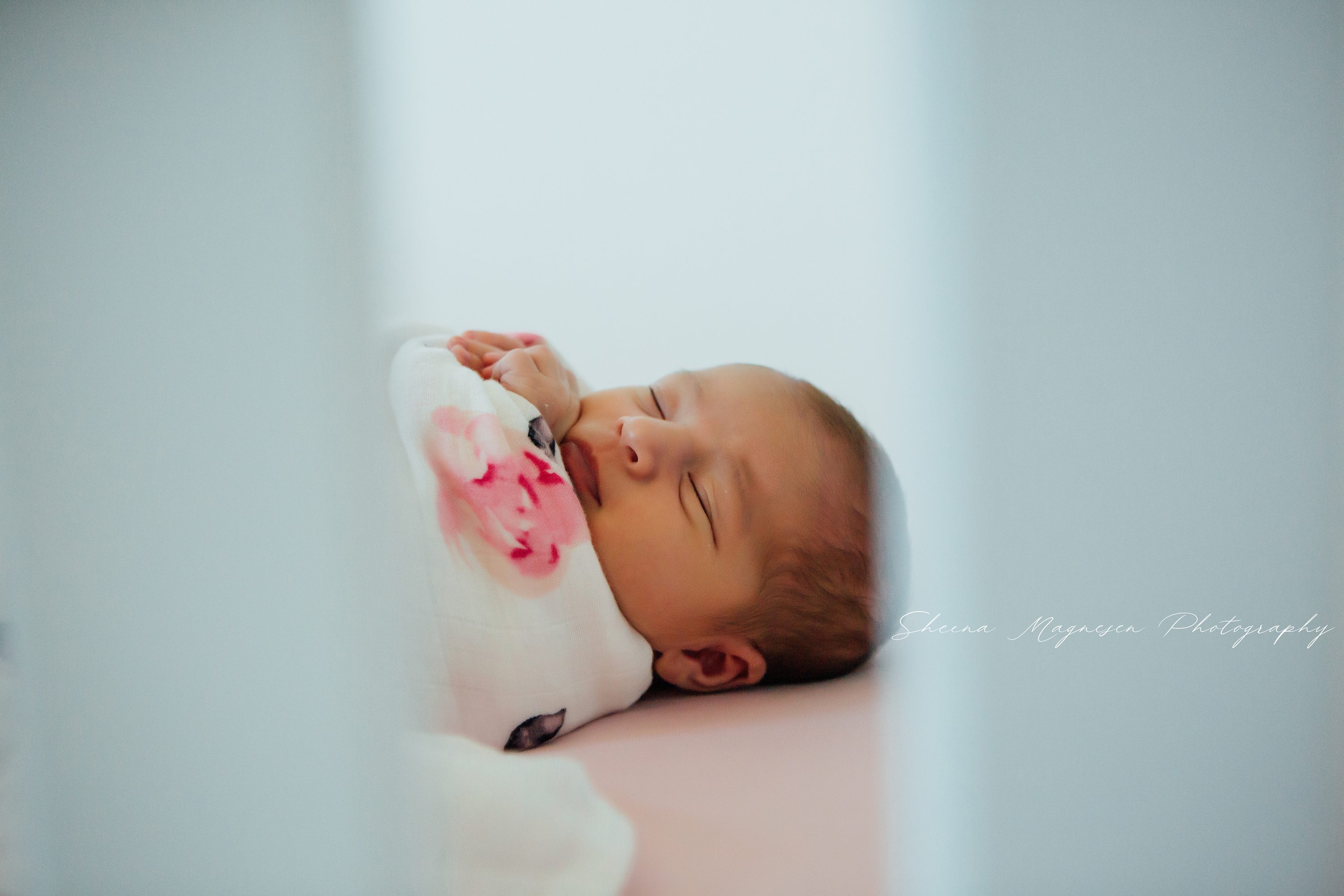 lifestyle,newborn,session,elmhurst,naperville,naperville newborn session