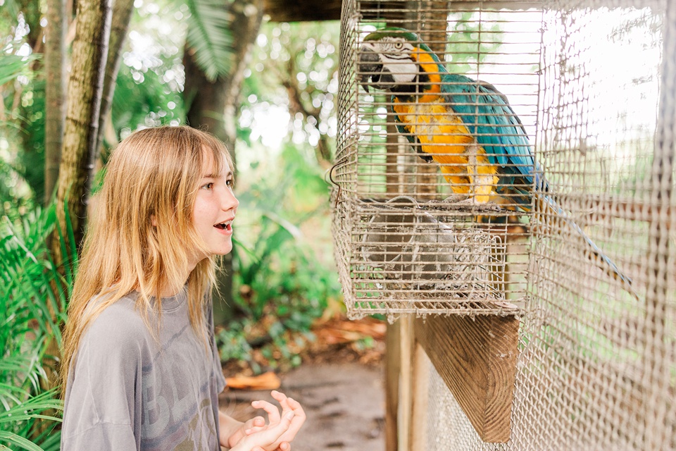 photographer,birthday