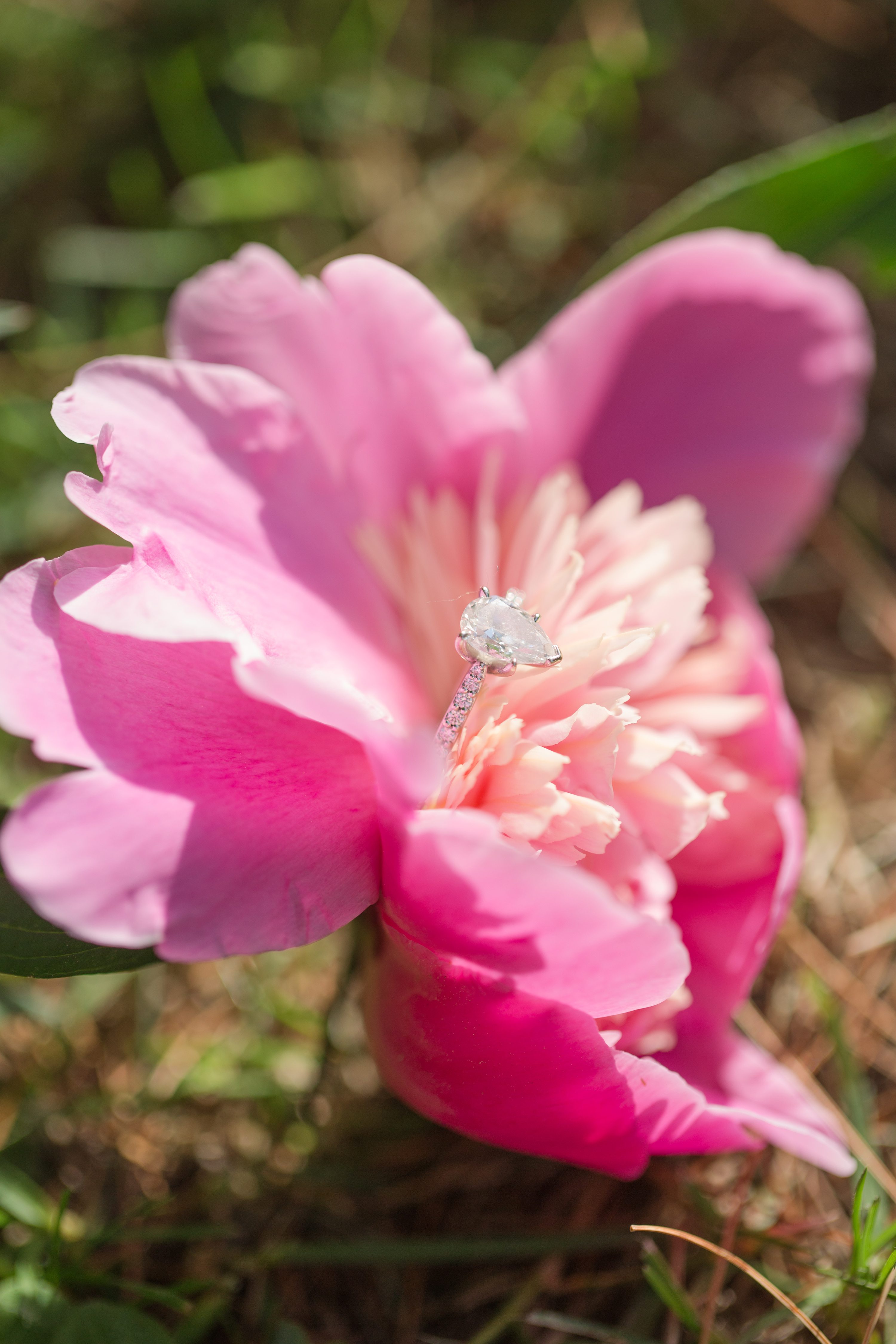 Illinois Engagement Session,Couples posing