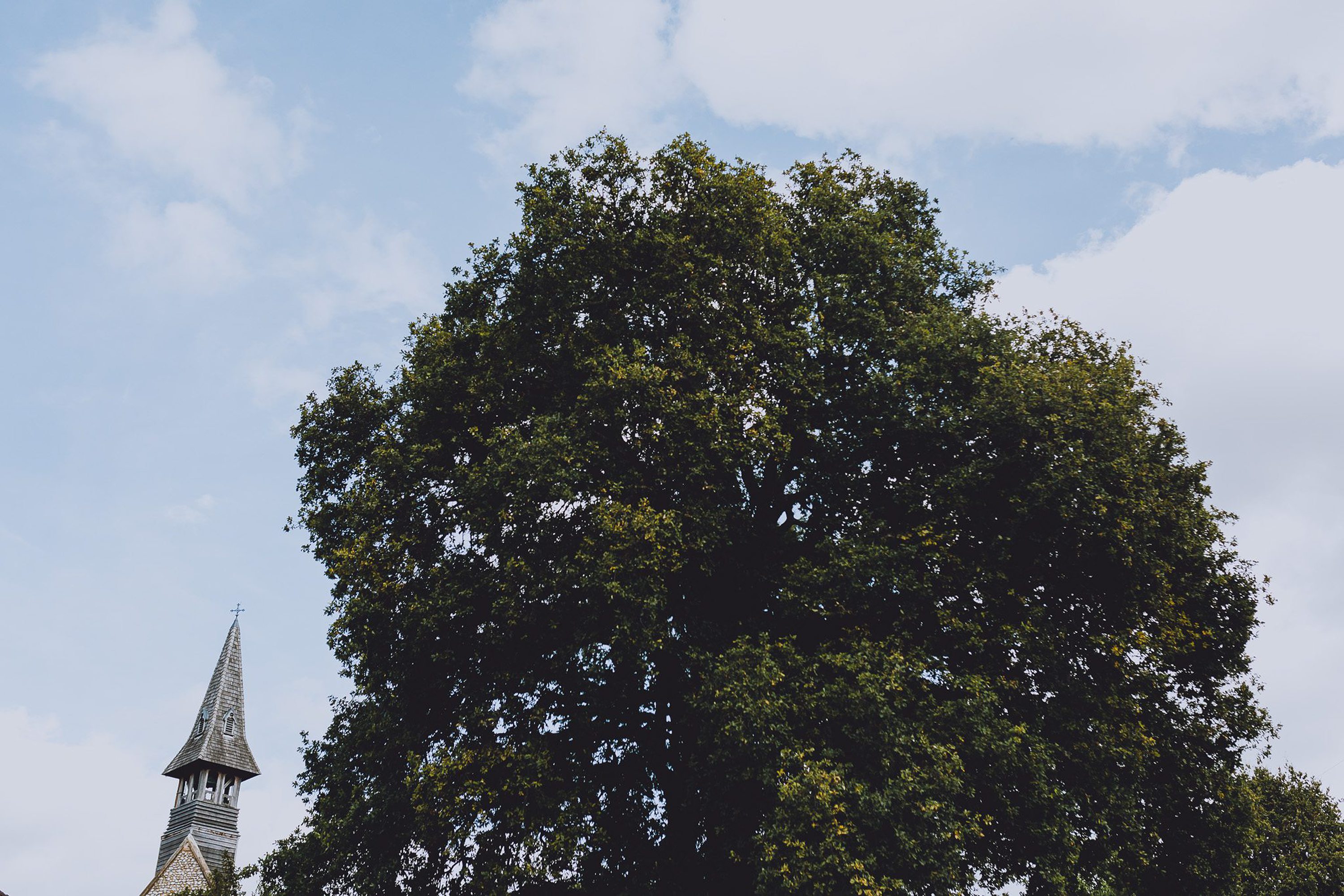  Hampshire Wedding Photographer, London Wedding Photographer