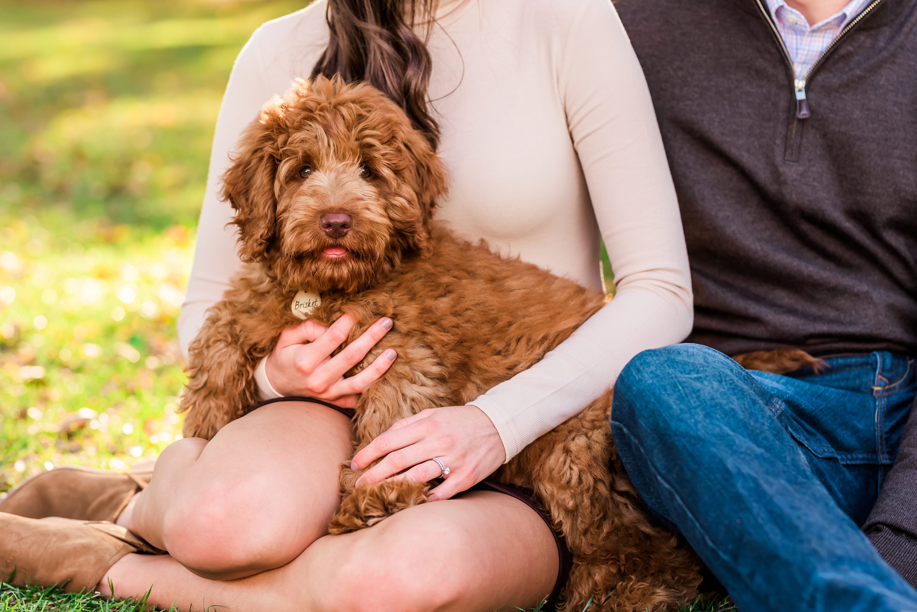 dallas,family photography